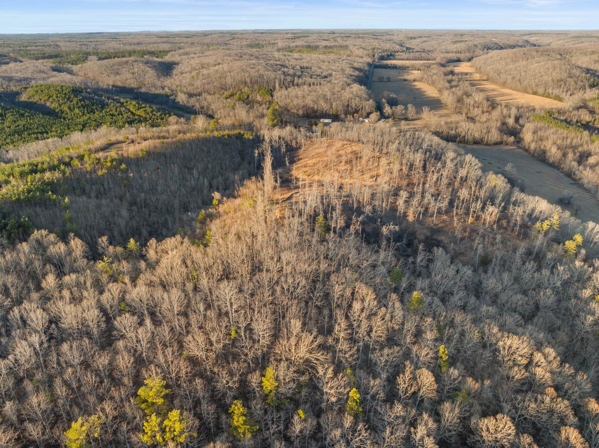 3120 Co Rd 14, Waterloo, AL 35677 — photo 9
