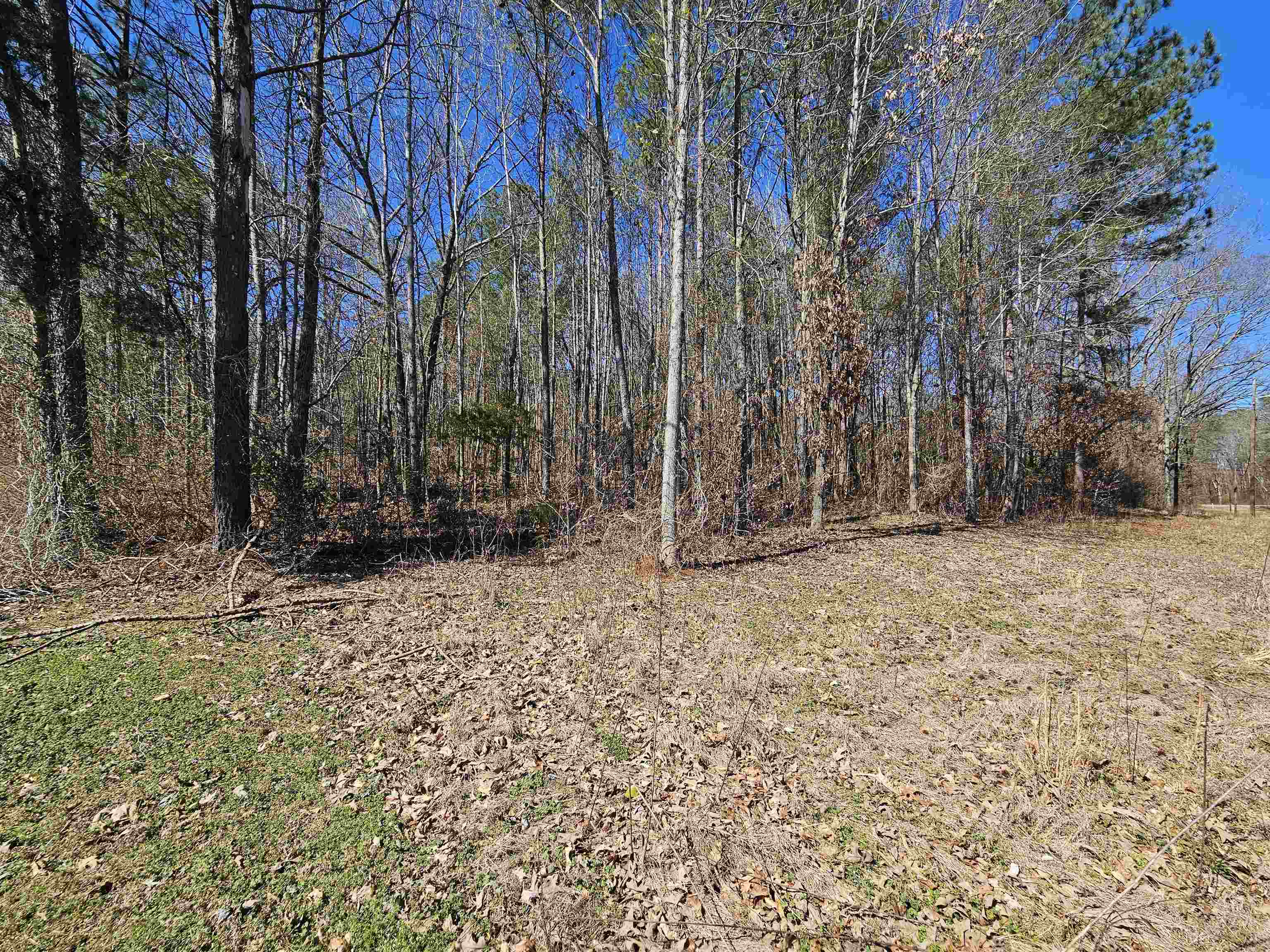 0 Clay Ave, Russellville, AL 35653 — photo 1