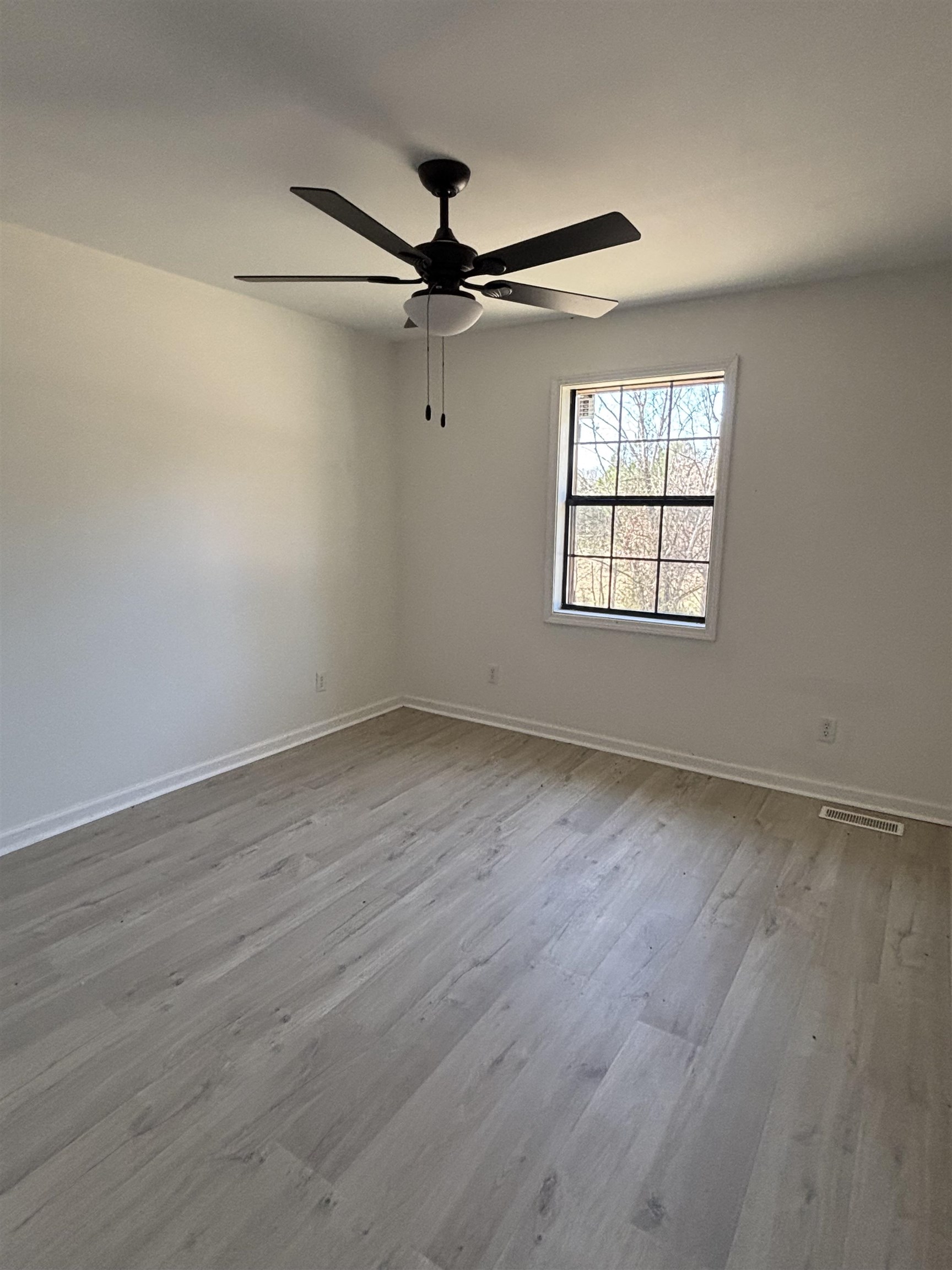 120 Maple St, Cherokee, AL 35616 — photo 12