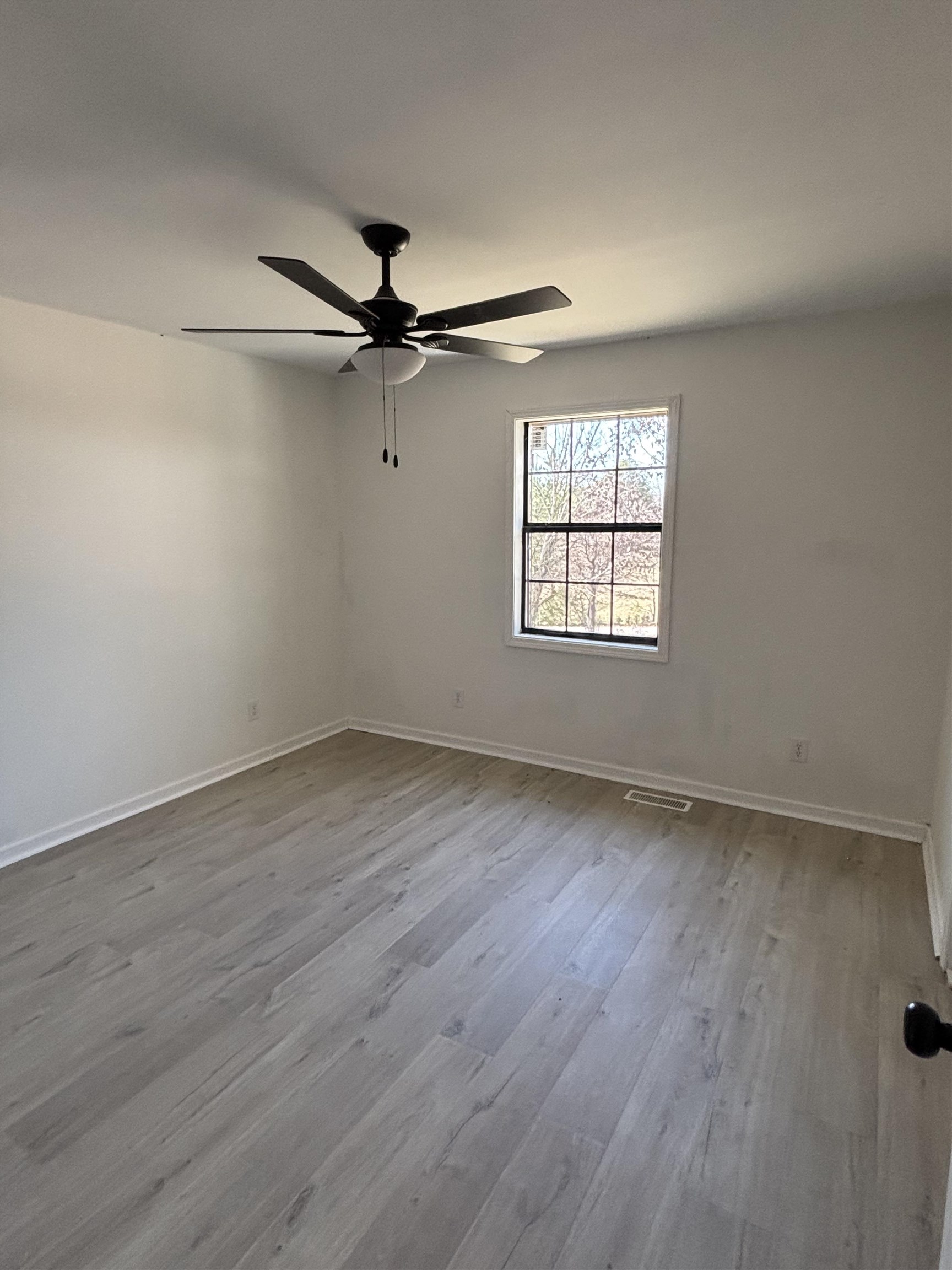 120 Maple St, Cherokee, AL 35616 — photo 8