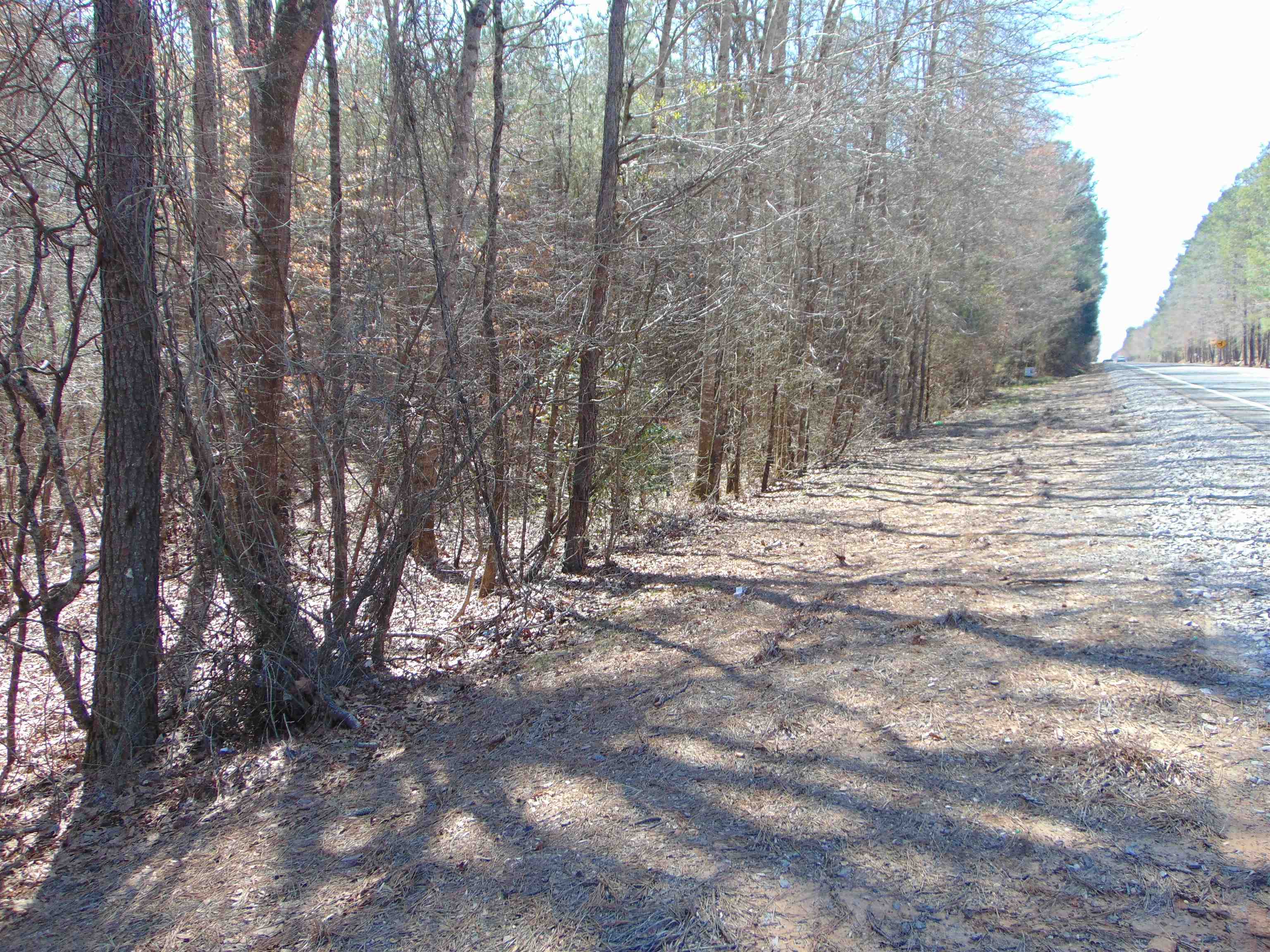 9000 Hwy 278, Haleyville, AL 35565 — photo 8