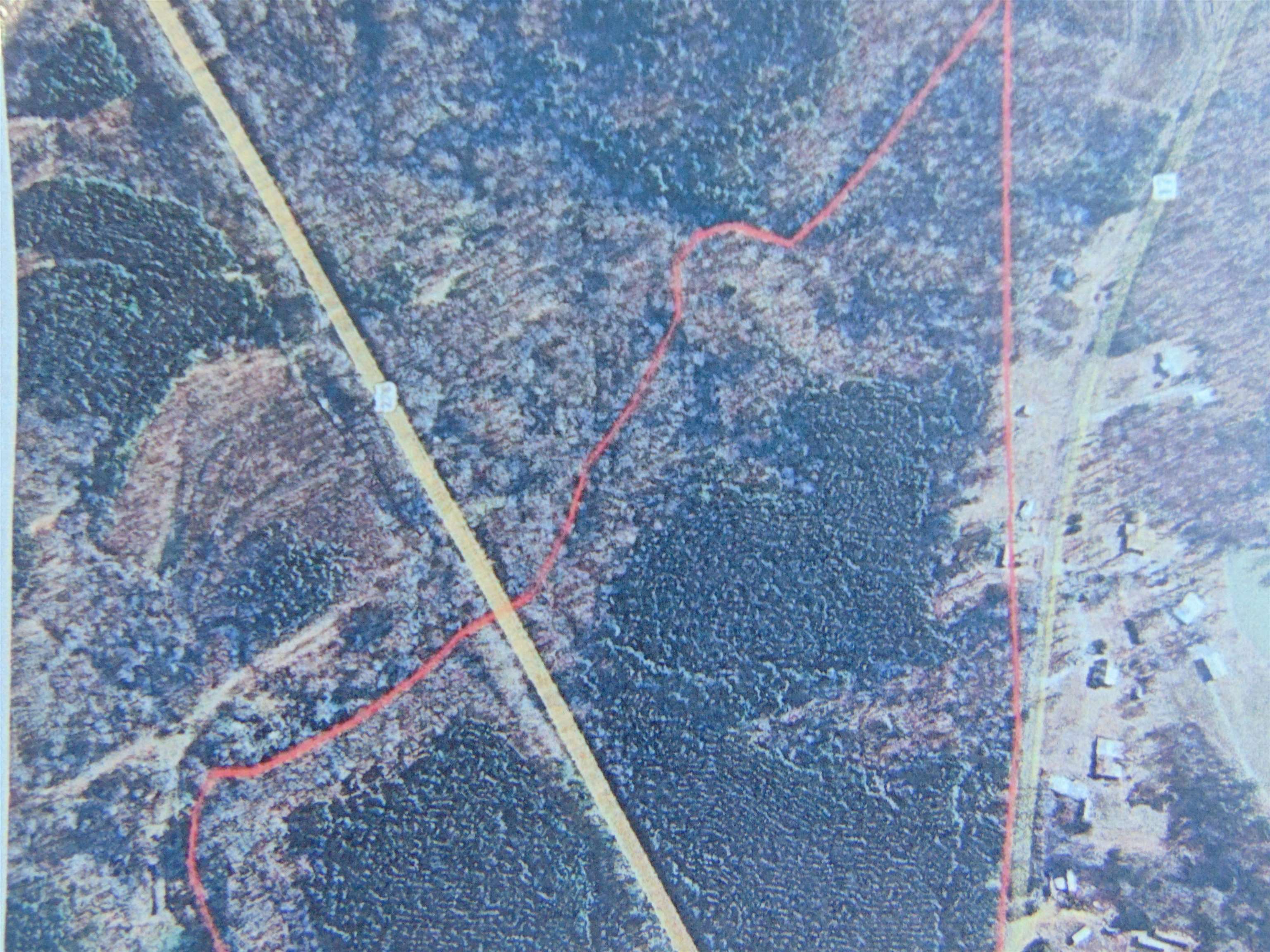 9000 Hwy 278, Haleyville, AL 35565 — photo 9