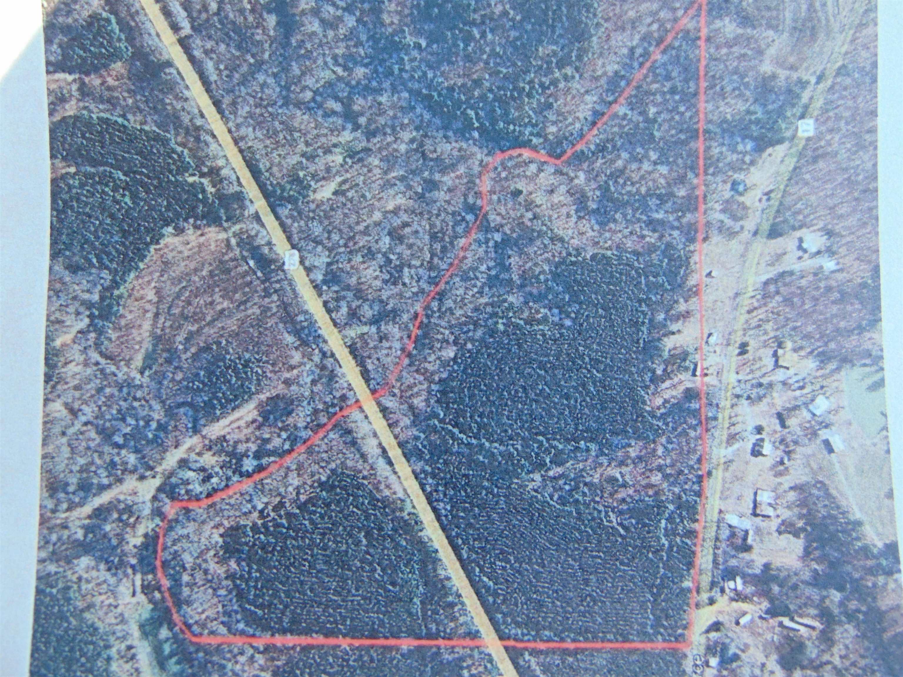 9000 Hwy 278, Haleyville, AL 35565 — photo 10
