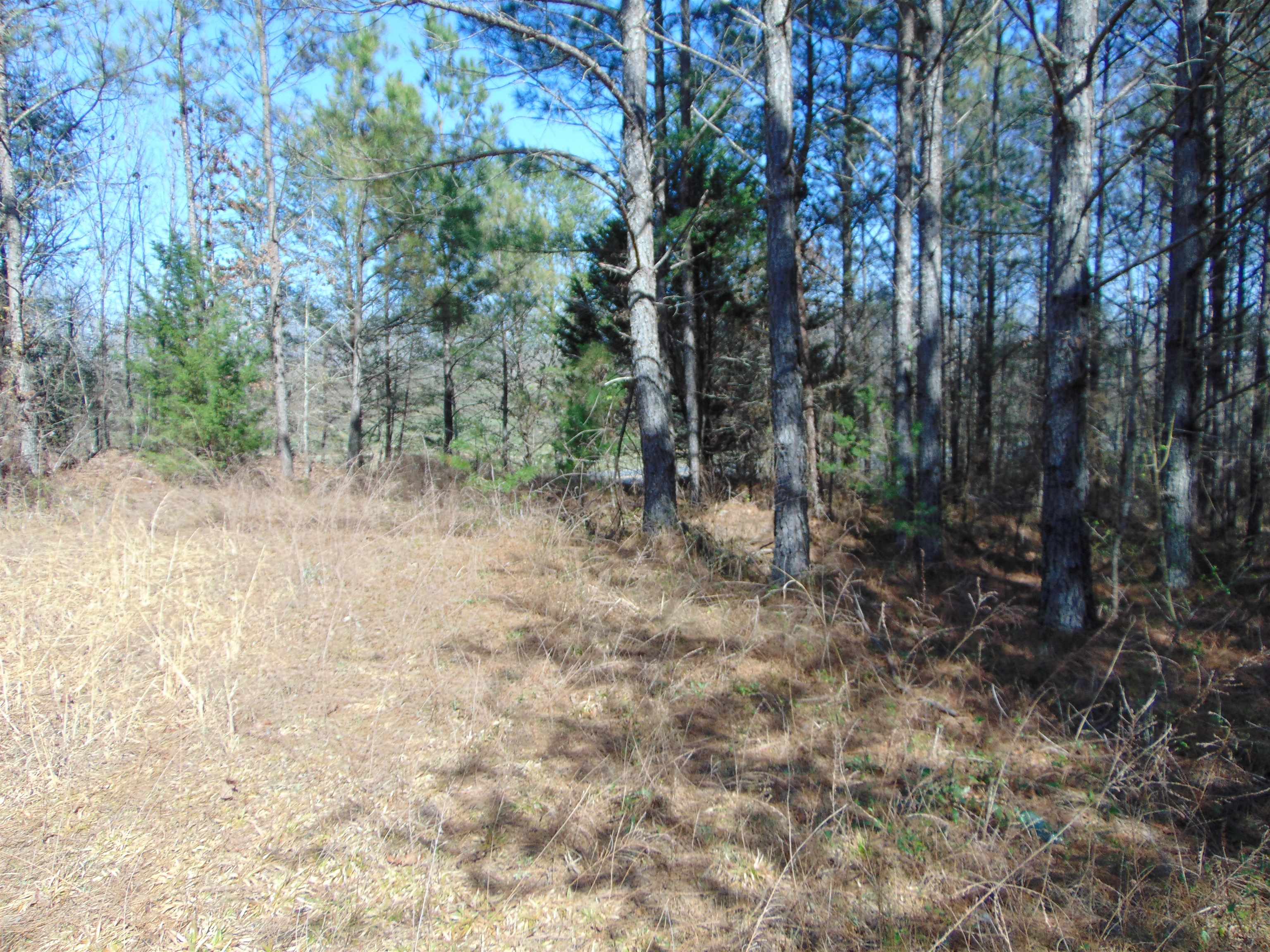 9655 Co Rd 2, Double Springs, AL 35553 — photo 2
