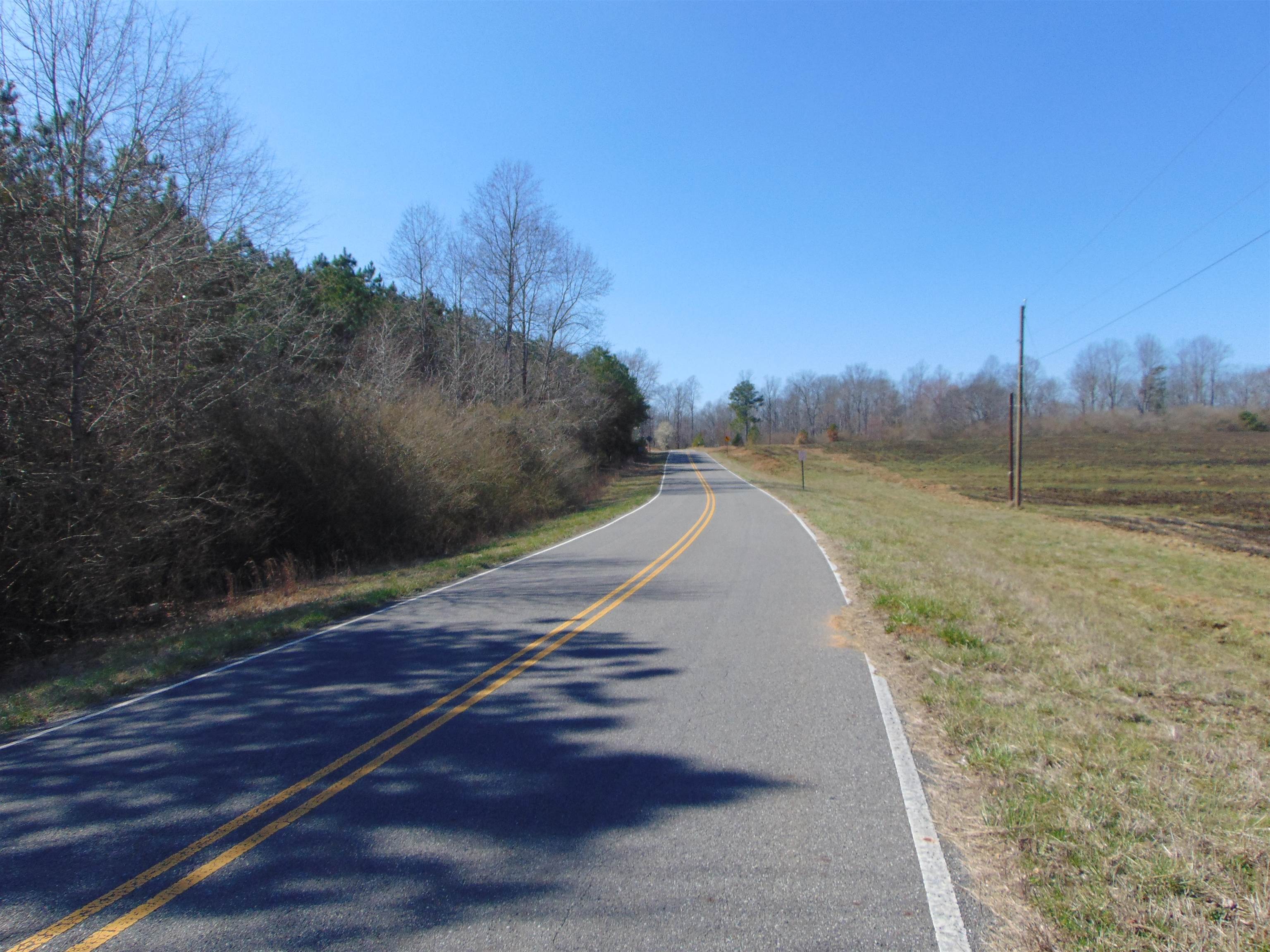 9655 Co Rd 2, Double Springs, AL 35553 — photo 5