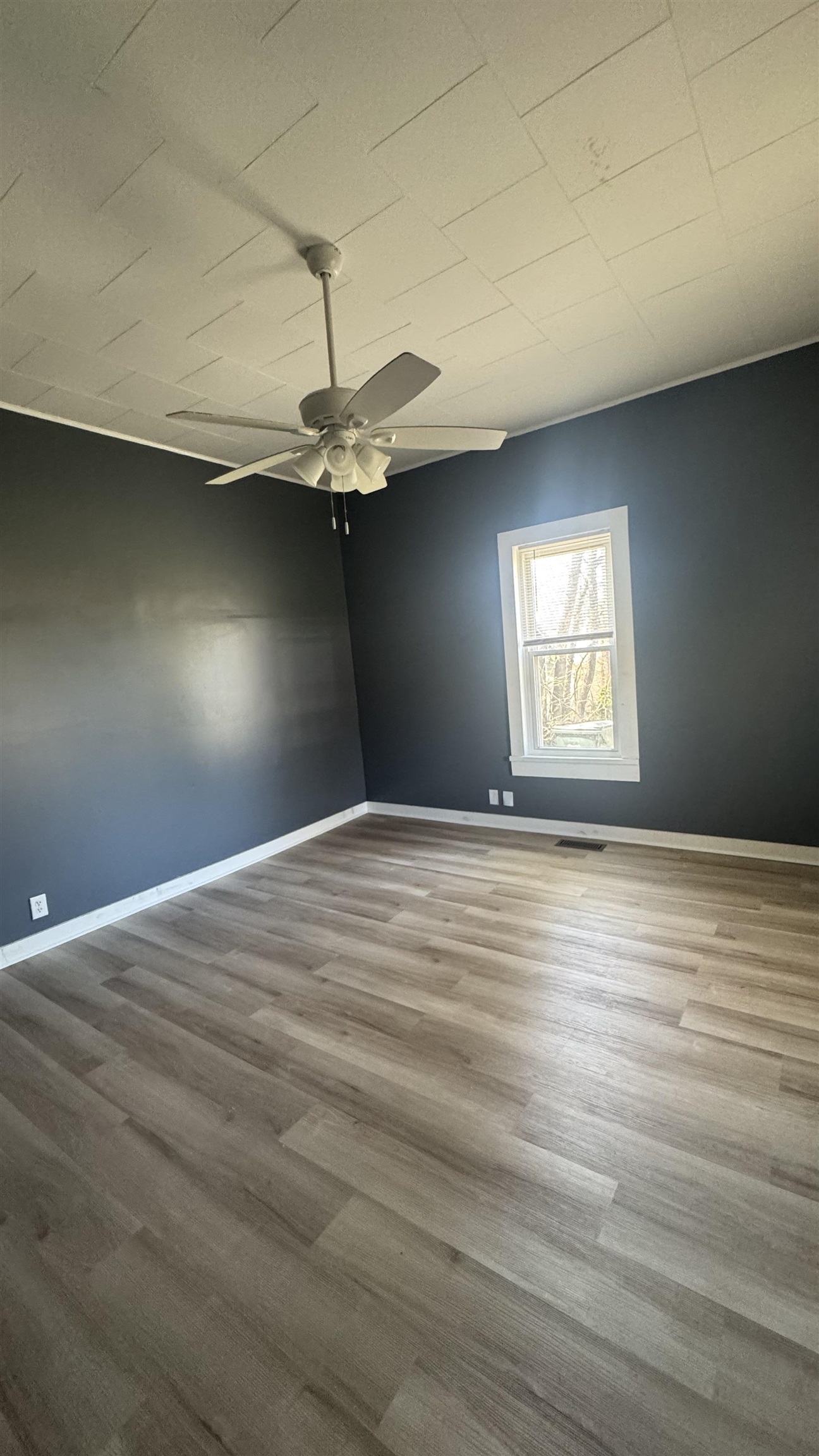 904 E 1st St, Tuscumbia, AL 35674 — photo 4