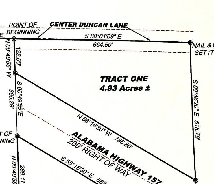 274 Duncan Ln, Leighton, AL 35646 — photo 6