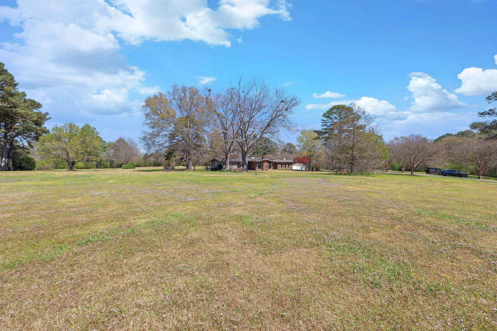 201 10th Ave, Red Bay, AL 35582 — photo 12