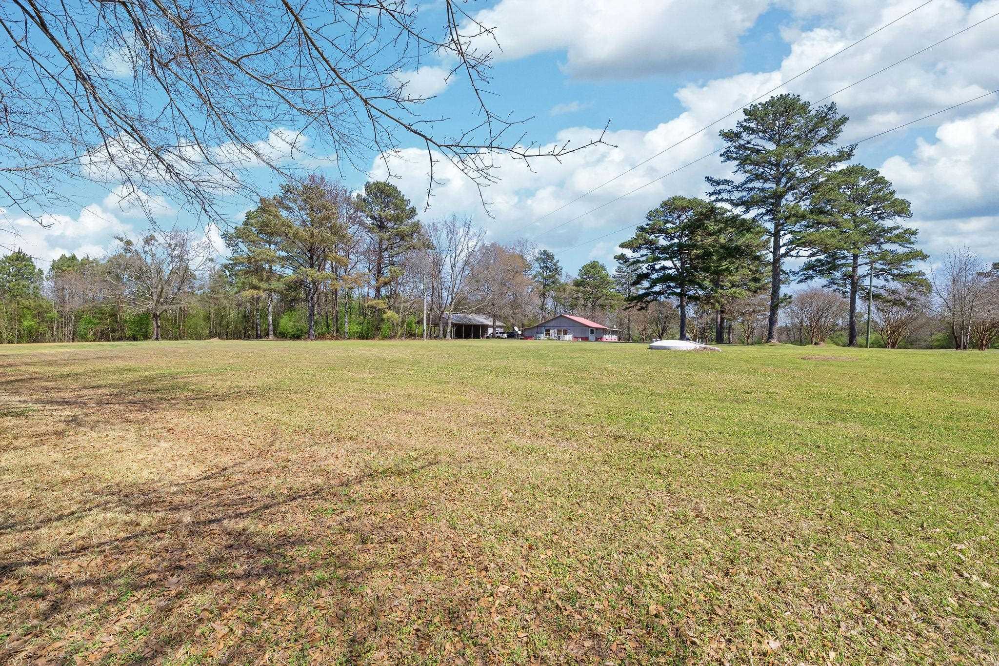 201 10th Ave, Red Bay, AL 35582 — photo 4