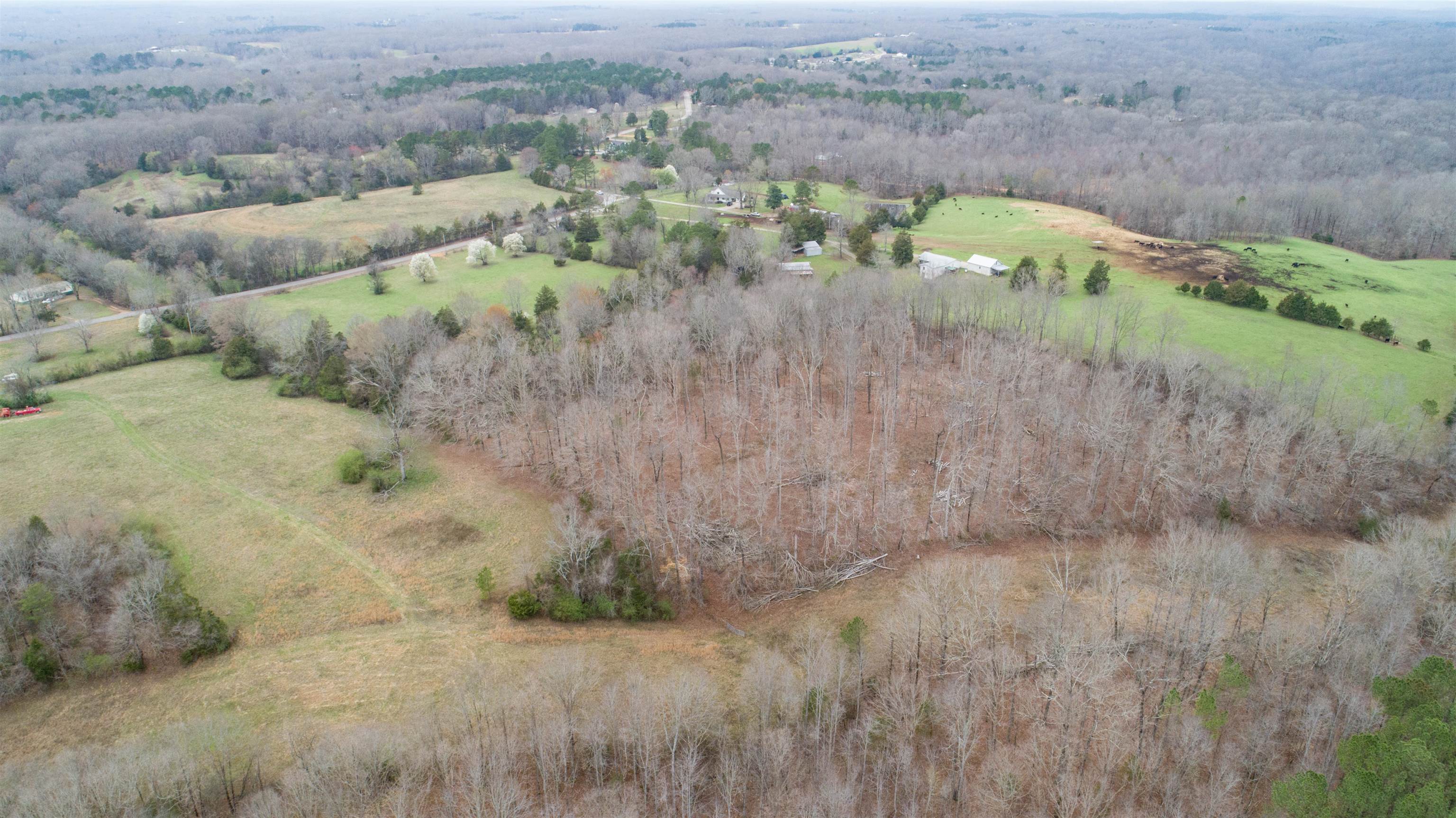 00 Co Rd 135, Florence, AL 35634 — photo 12