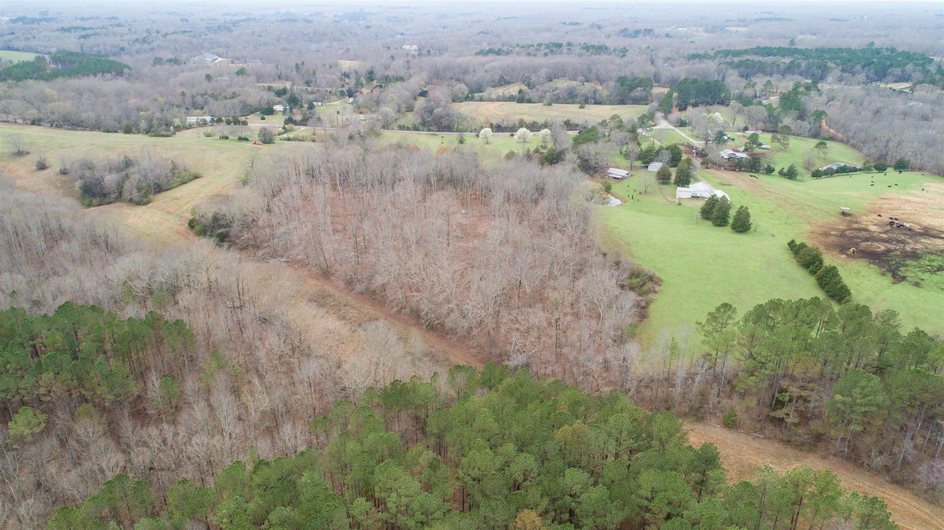 00 Co Rd 135, Florence, AL 35634 — photo 9