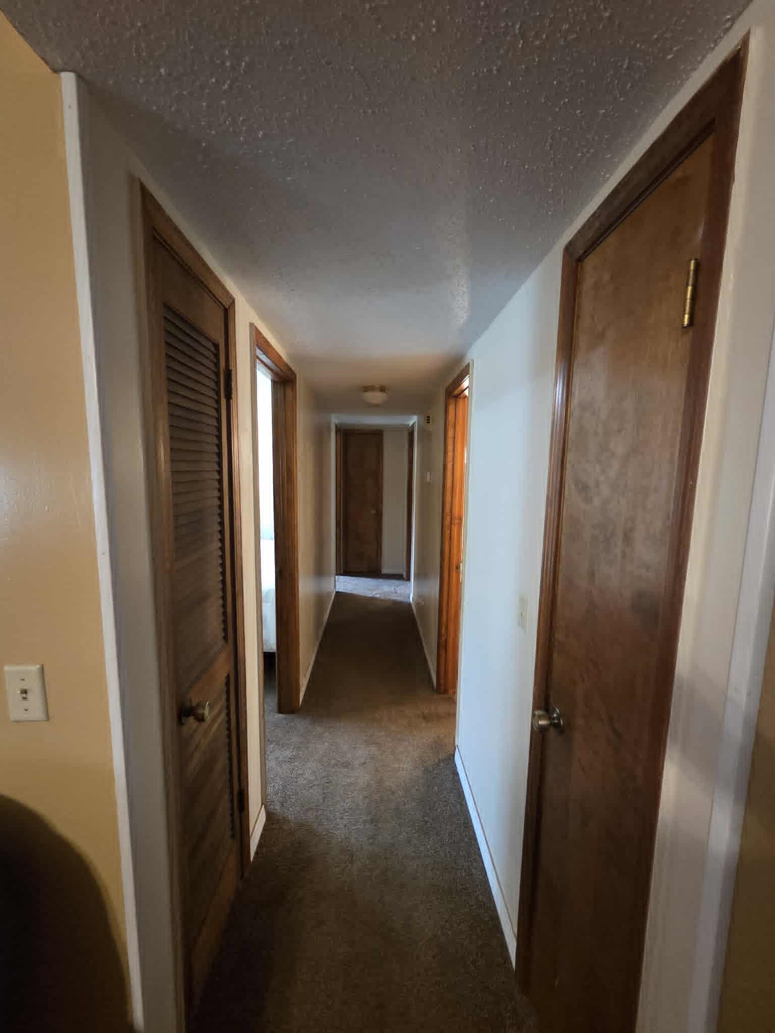 202 Elliott Ave, Muscle Shoals, AL 35661 — photo 8