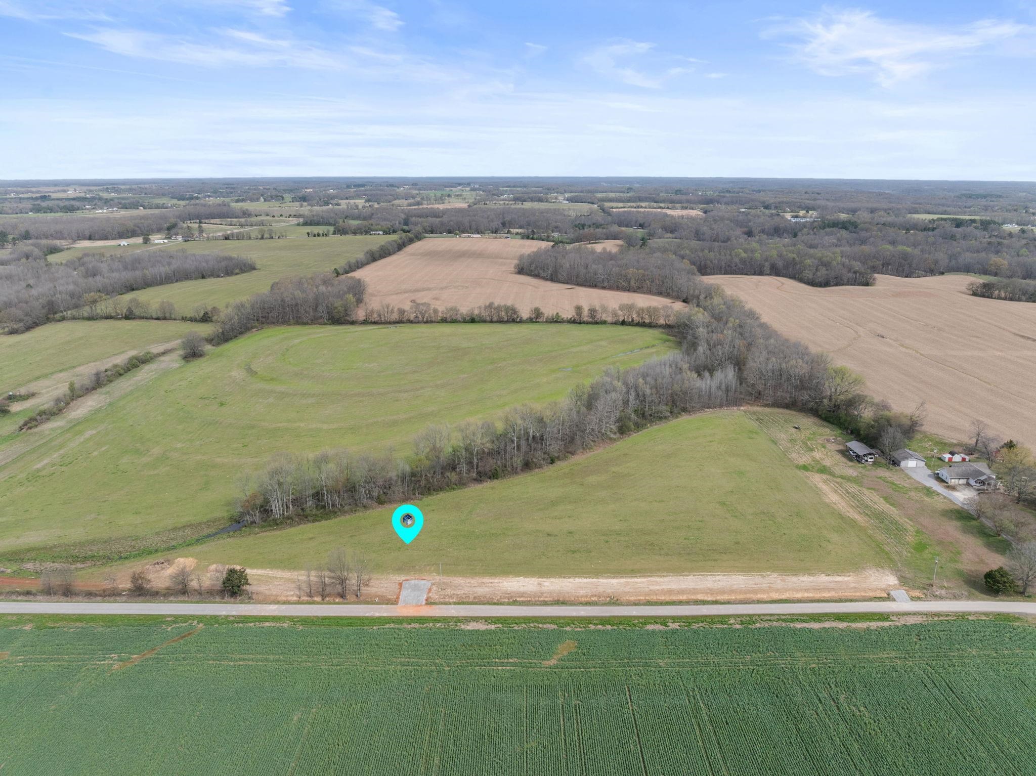 25634 W County Line Rd, Anderson, AL 35610 — photo 4