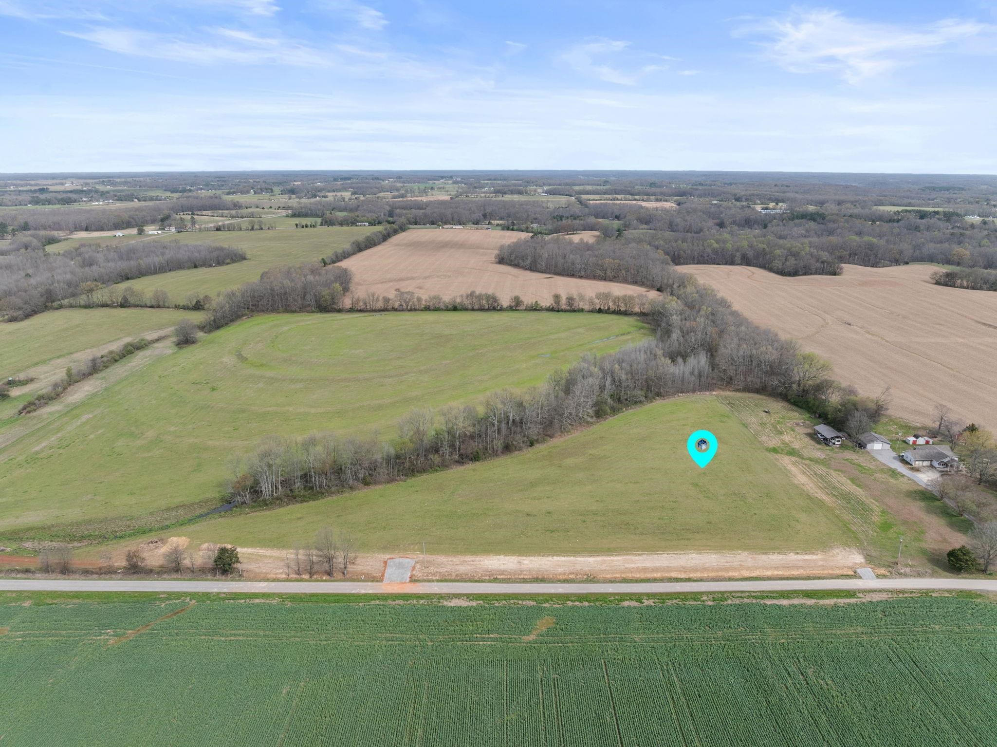 25568 W County Line Rd, Anderson, AL 35610 — photo 4