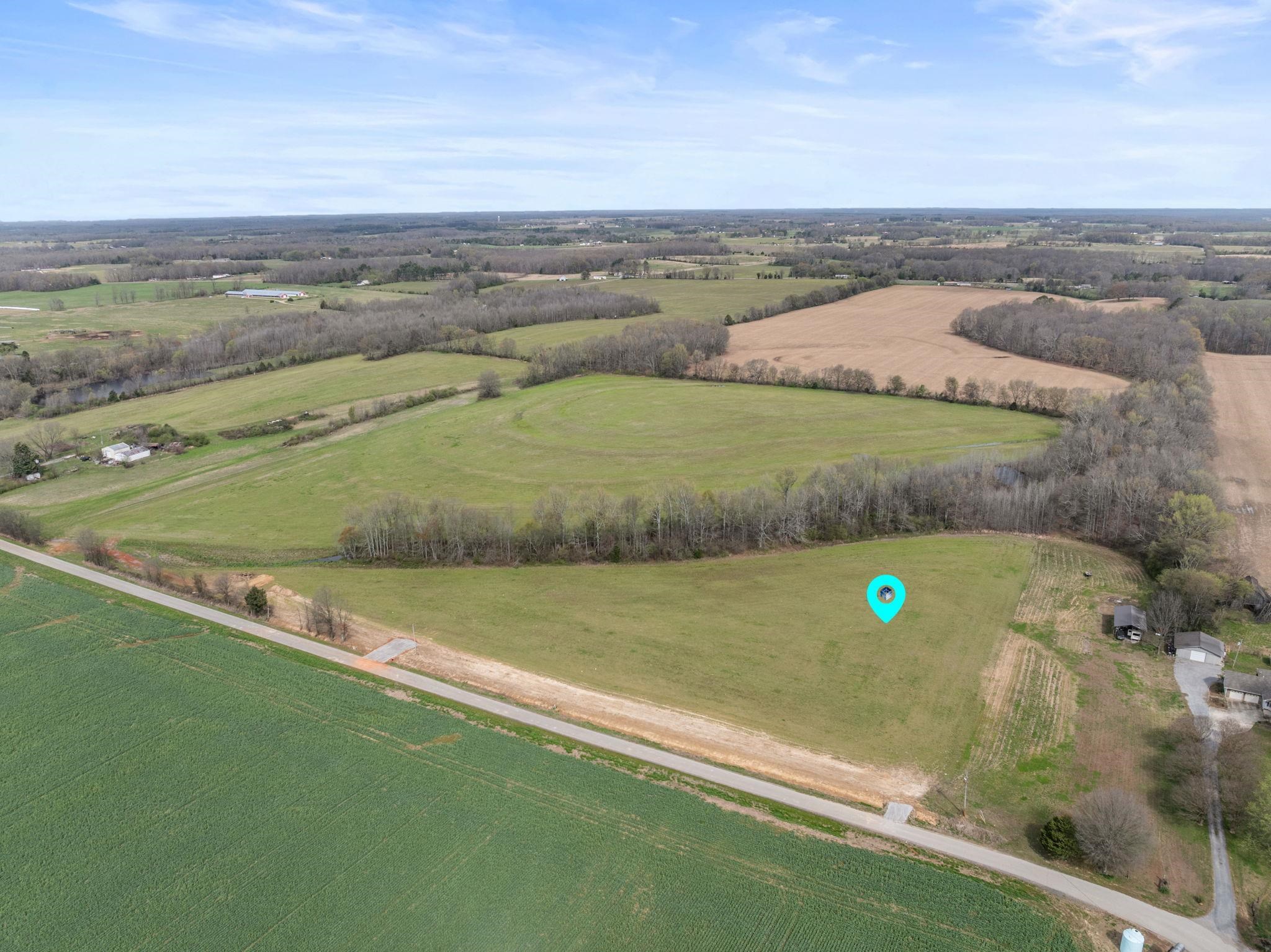 25568 W County Line Rd, Anderson, AL 35610 — photo 8