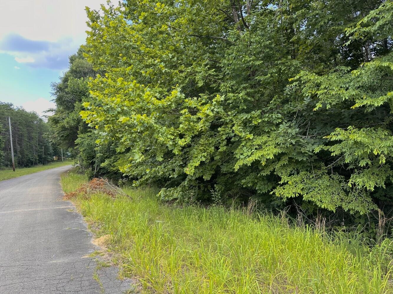 60 +/- Acres Co Rd 298, Florence, AL 35634 — photo 1