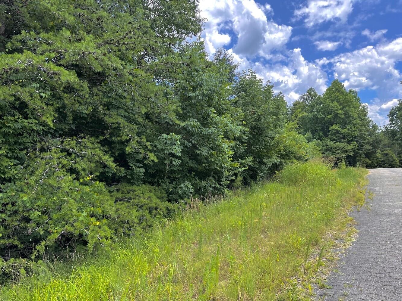 60 +/- Acres Co Rd 298, Florence, AL 35634 — photo 2