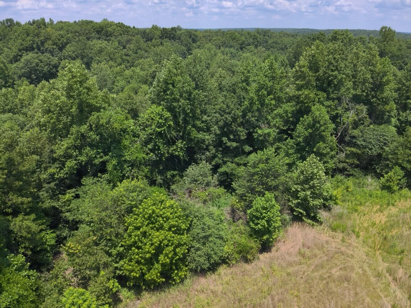 60 +/- Acres Co Rd 298, Florence, AL 35634 — photo 11
