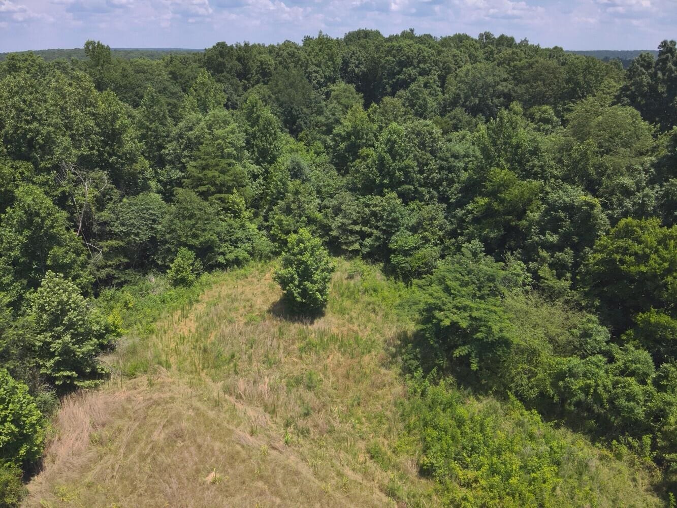 60 +/- Acres Co Rd 298, Florence, AL 35634 — photo 12