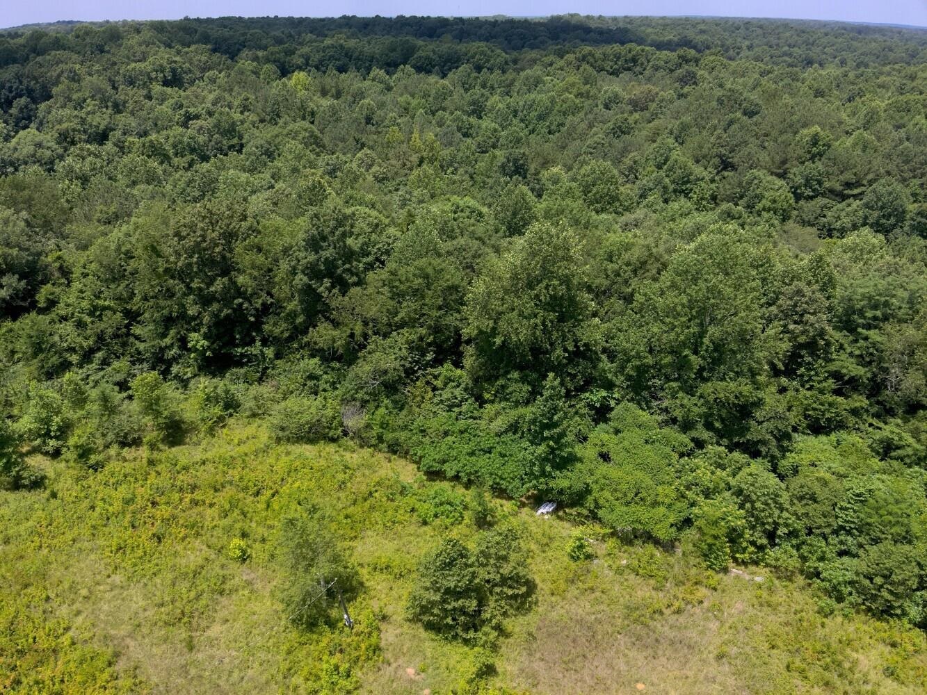 60 +/- Acres Co Rd 298, Florence, AL 35634 — photo 6