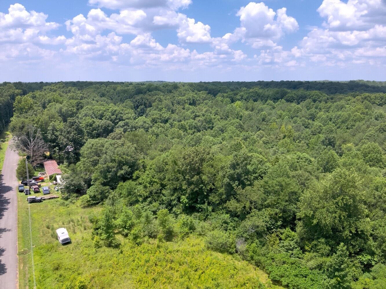 60 +/- Acres Co Rd 298, Florence, AL 35634 — photo 8