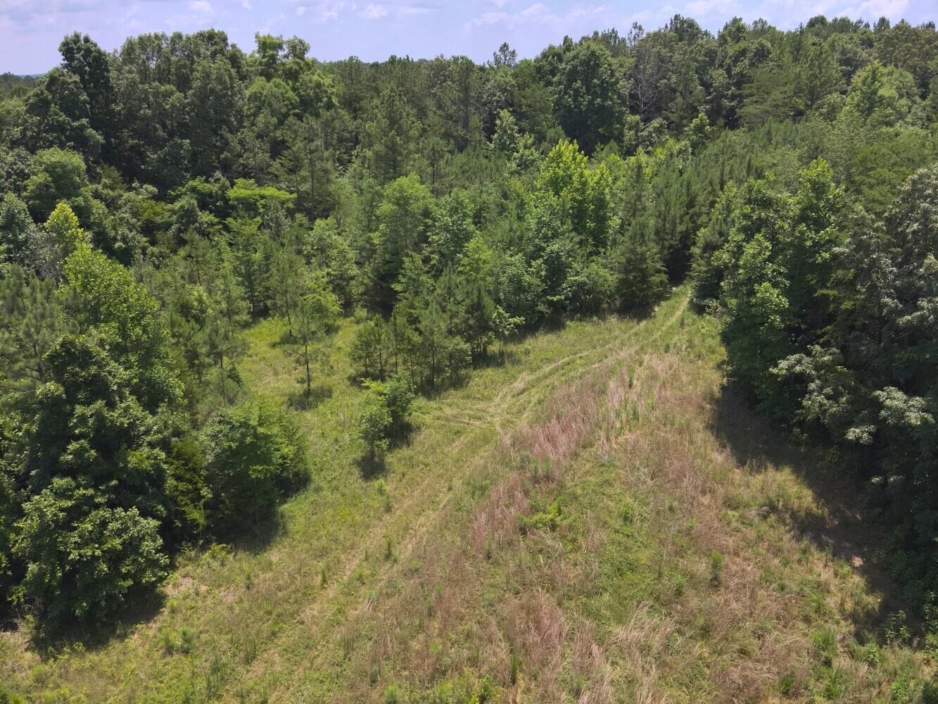 60 +/- Acres Co Rd 298, Florence, AL 35634 — photo 9