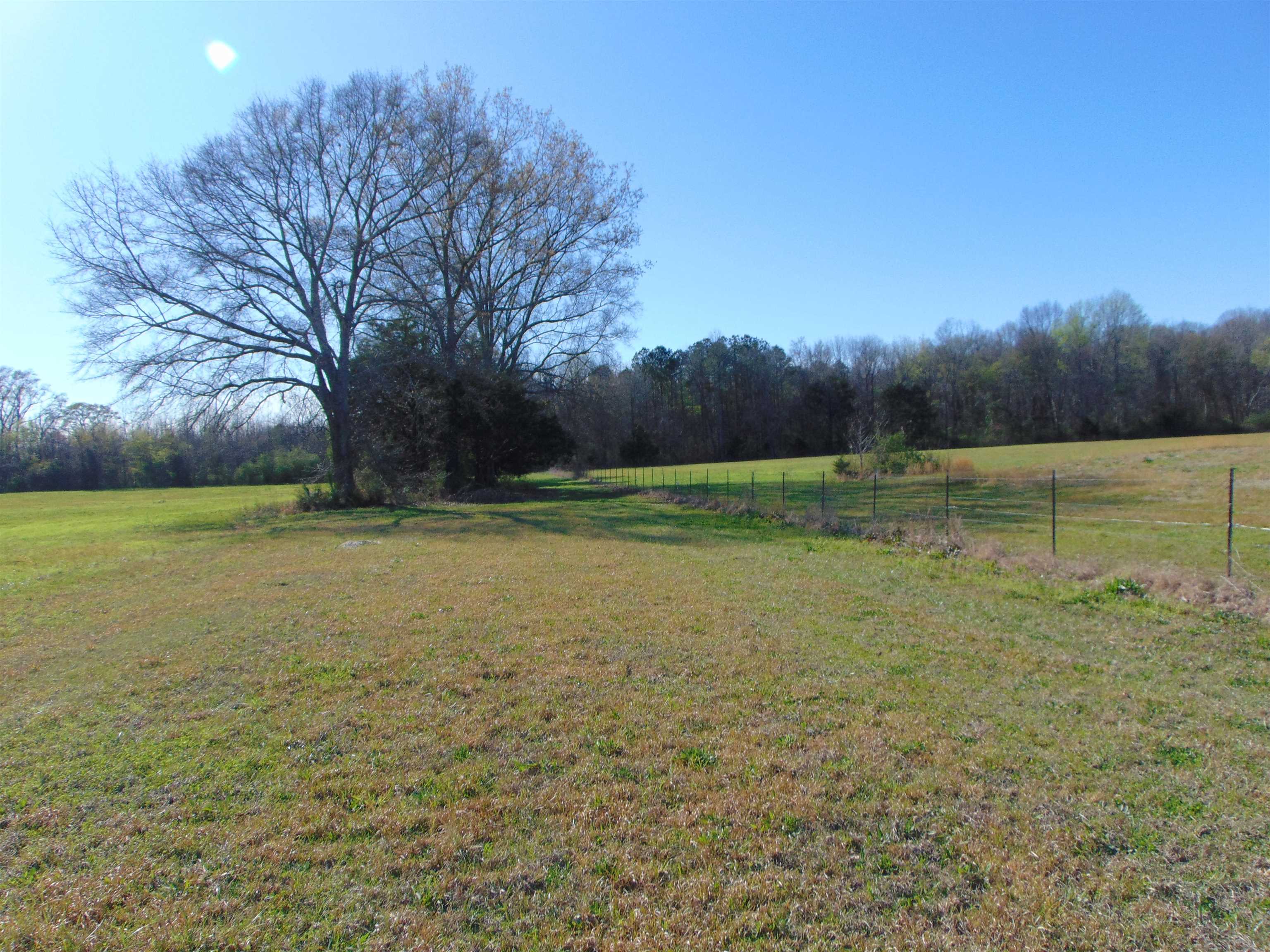696 Culver Rd, Falkville, AL 35622 — photo 4