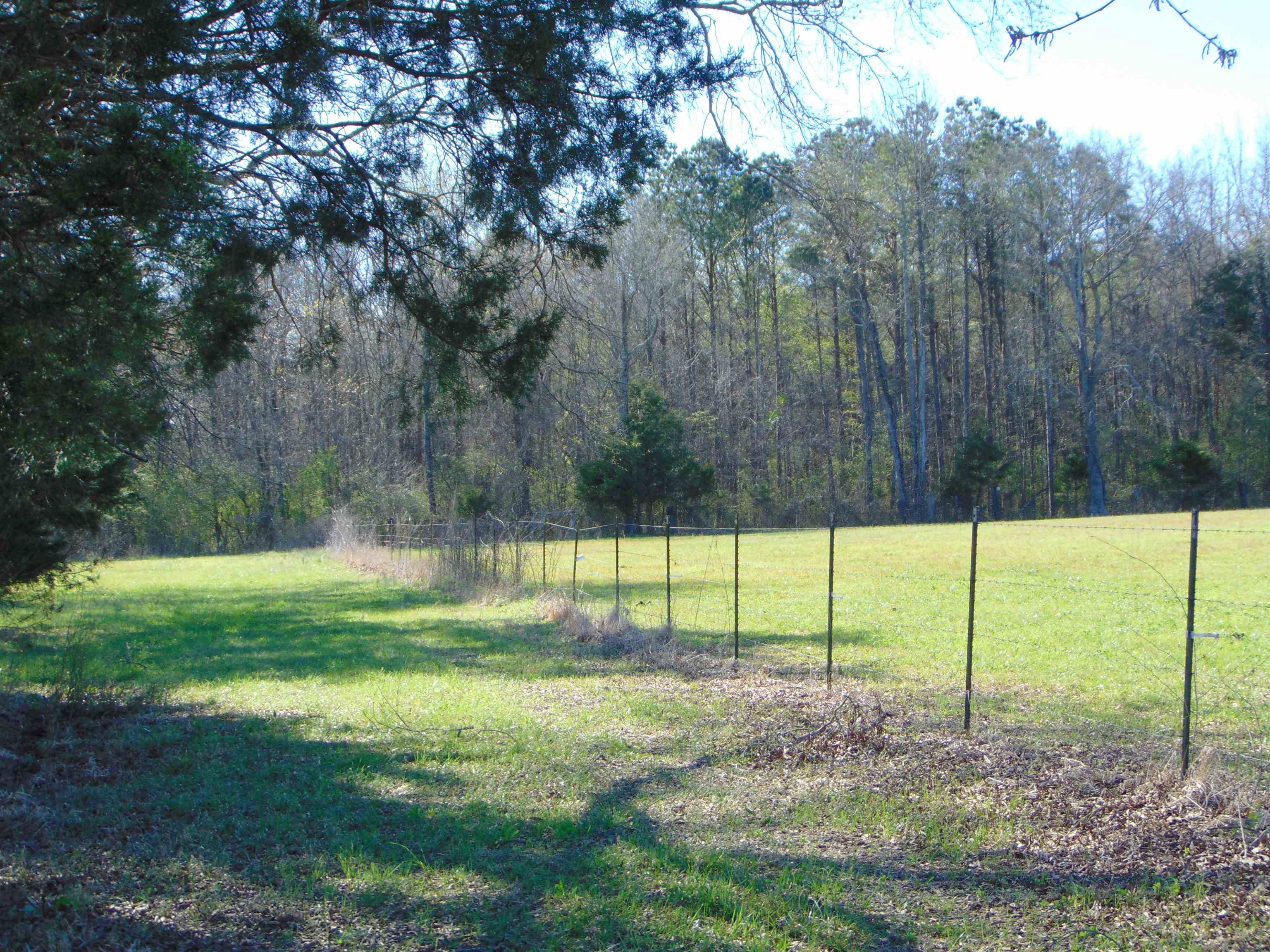 696 Culver Rd, Falkville, AL 35622 — photo 10