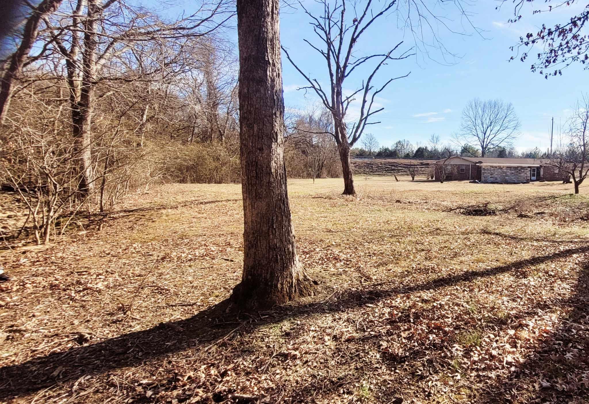 14015 Highway 72, Cherokee, AL 35616 — photo 3