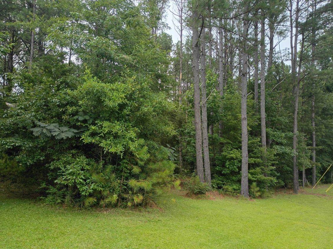 5465 Steele St, Hamilton, AL 35570 — photo 3
