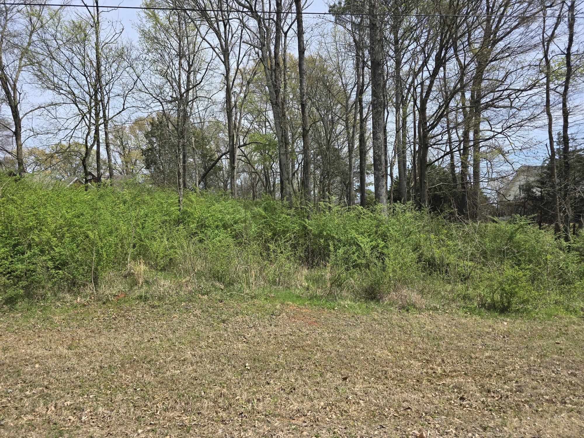 Lot 25 Davis Dr, Tuscumbia, AL 35674 — photo 1