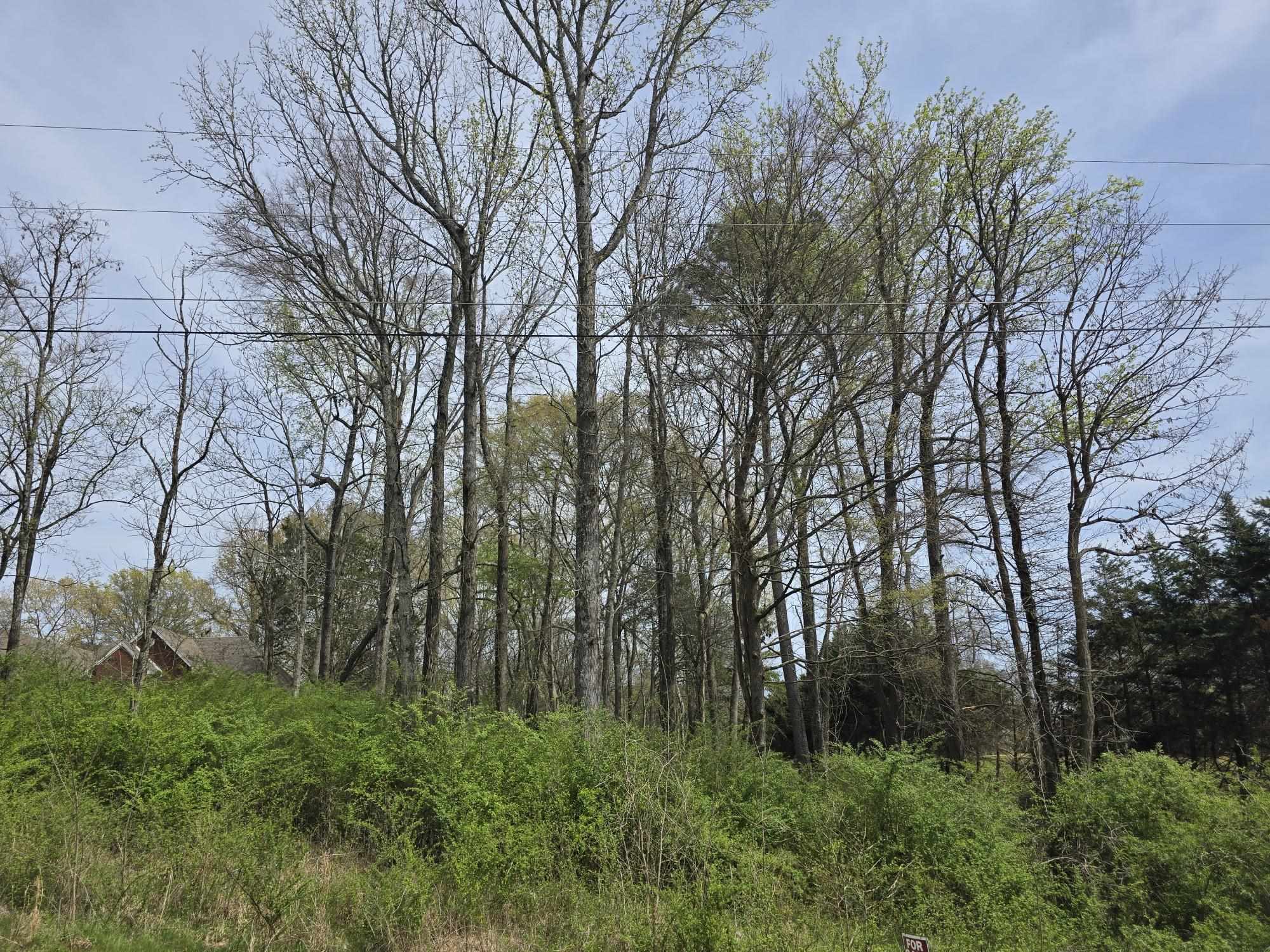 Lot 25 Davis Dr, Tuscumbia, AL 35674 — photo 2