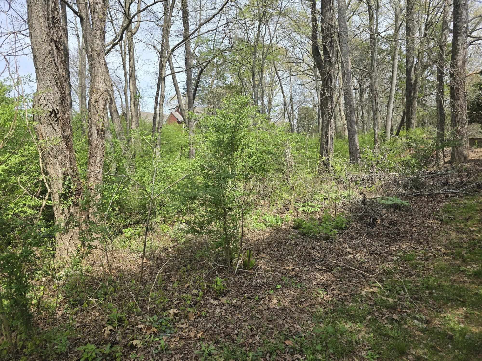 Lot 25 Davis Dr, Tuscumbia, AL 35674 — photo 3
