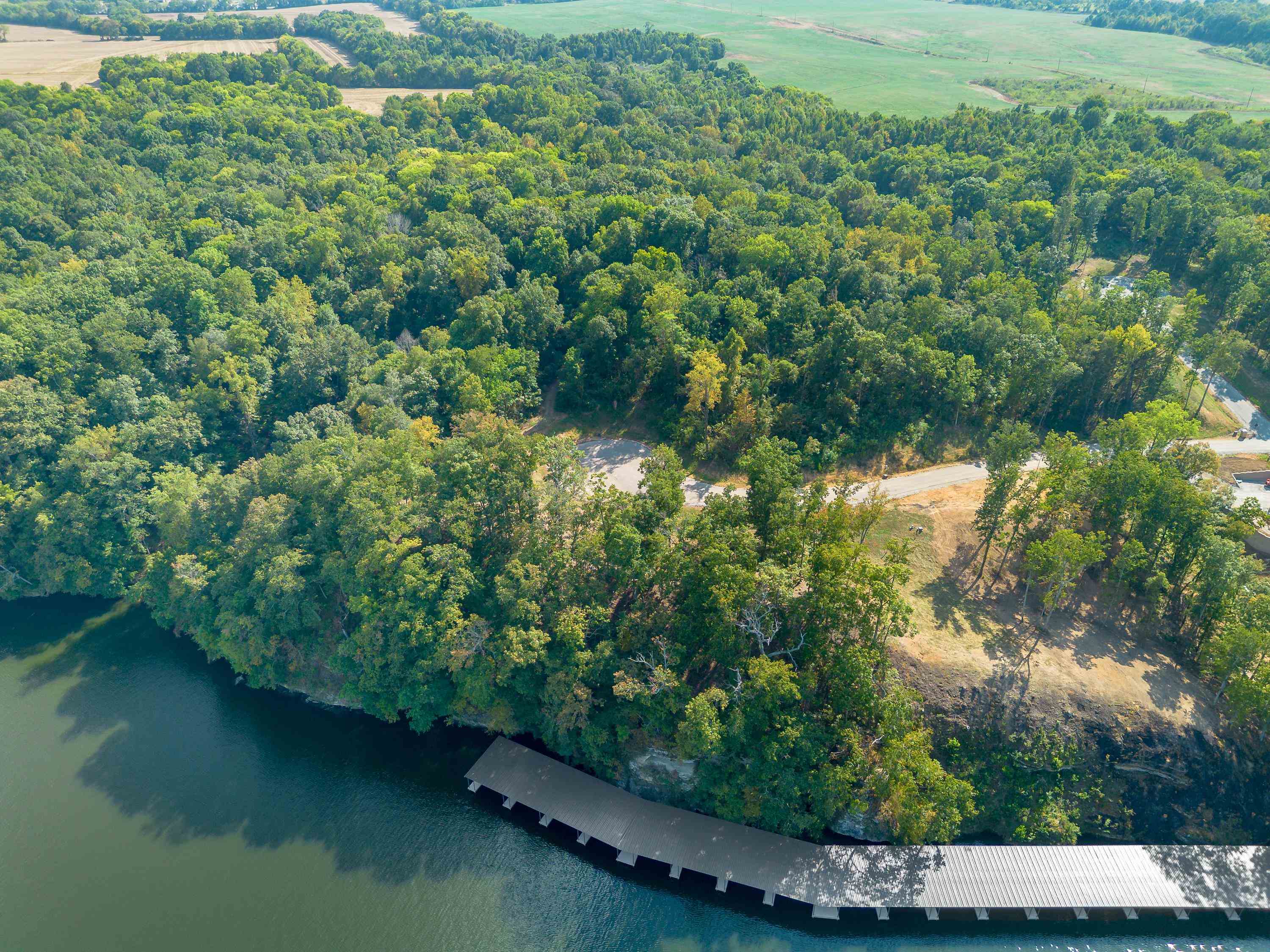 26 Bluff Dr, Muscle Shoals, AL 35661 — photo 11