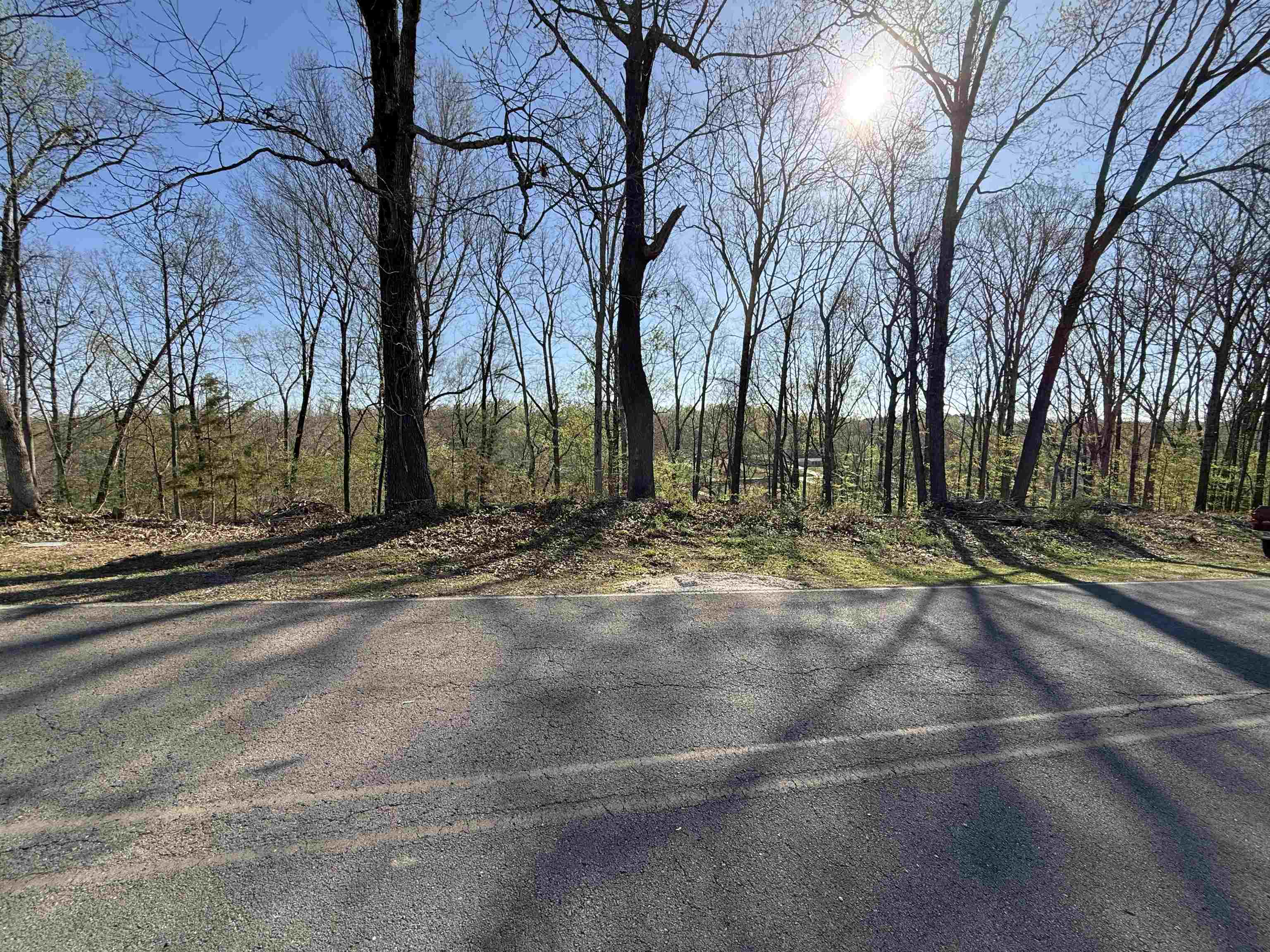335 Shoreline Dr, Killen, AL 35645 — photo 4