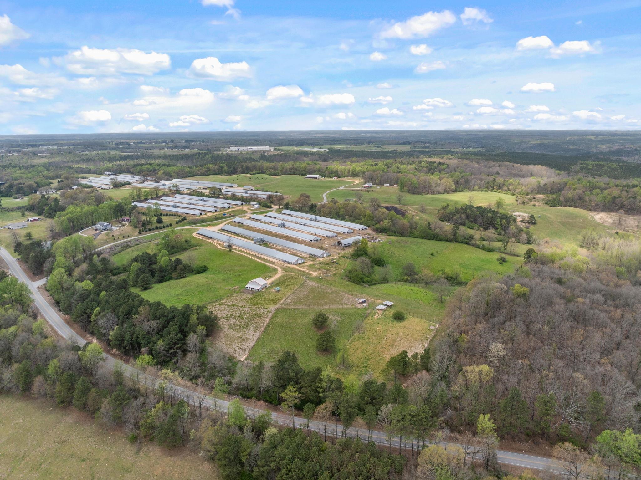 306 Cowbranch Rd, Hackleburg, AL 35564 — photo 12