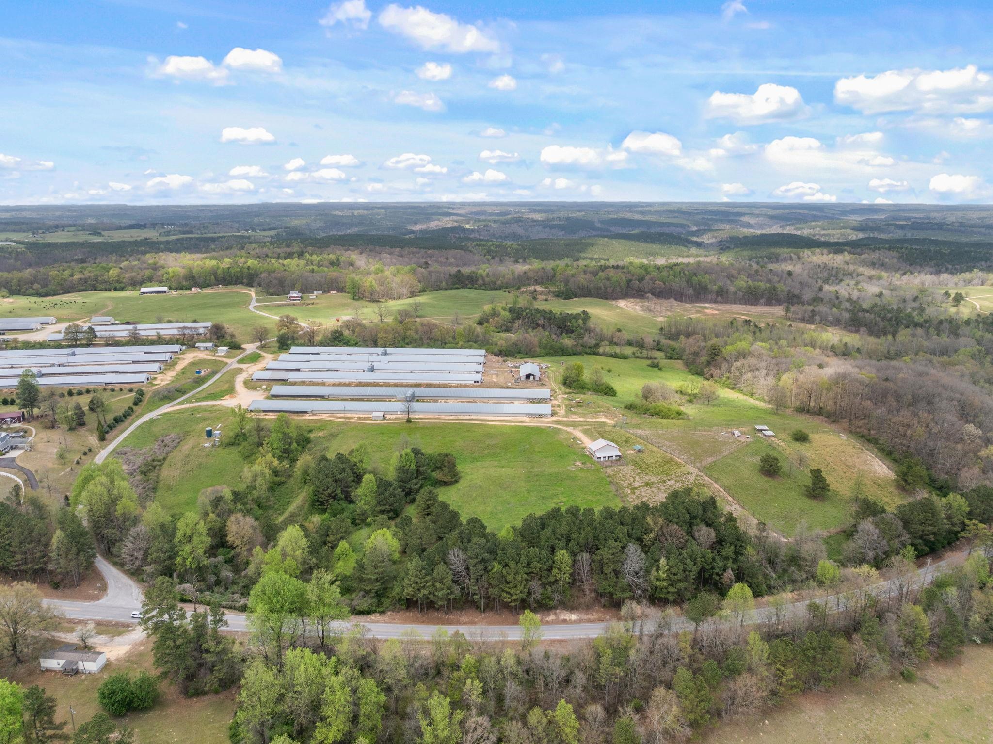 306 Cowbranch Rd, Hackleburg, AL 35564 — photo 10