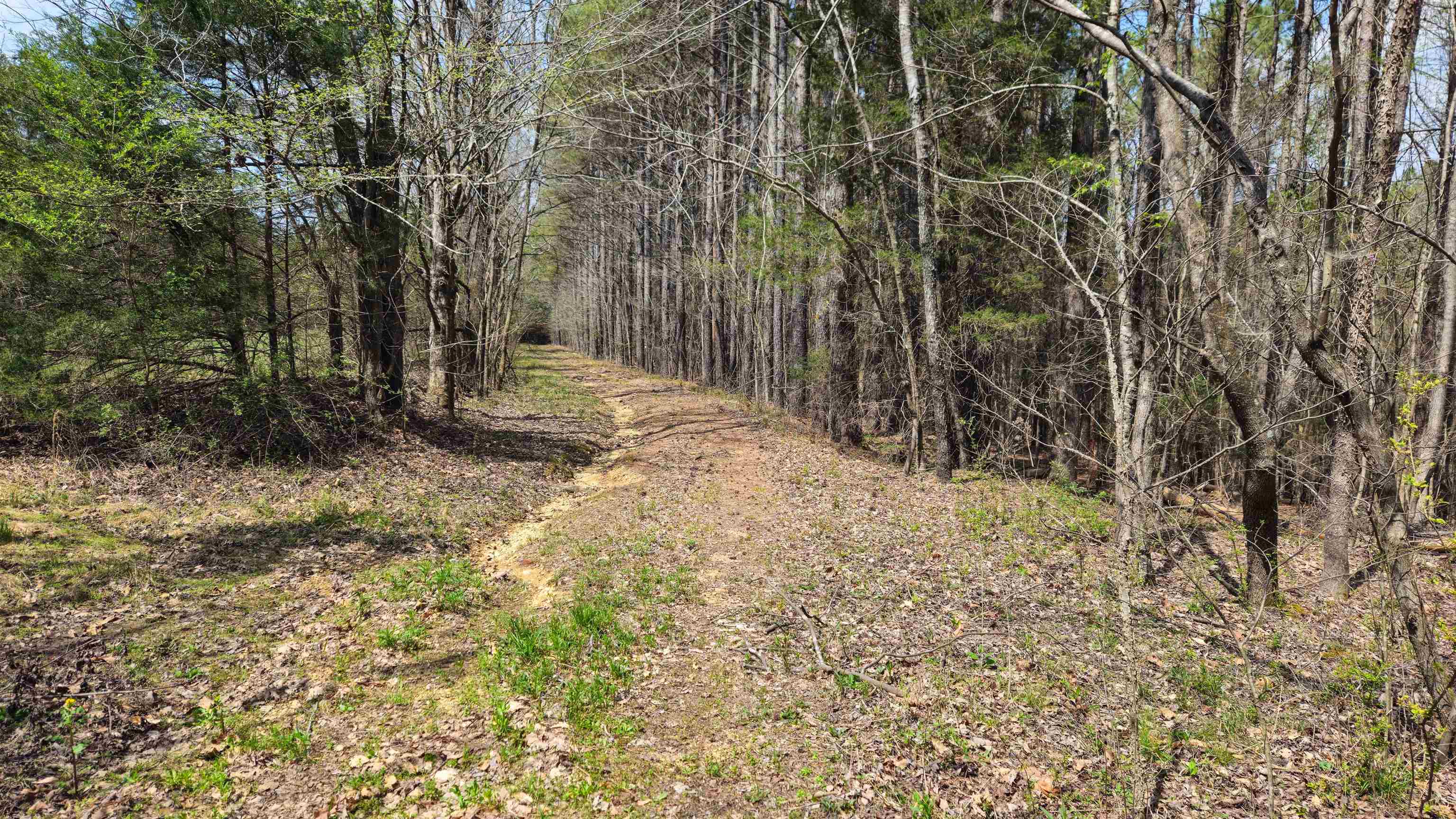 0 Co Rd 621, Lexington, AL 35648 — photo 2