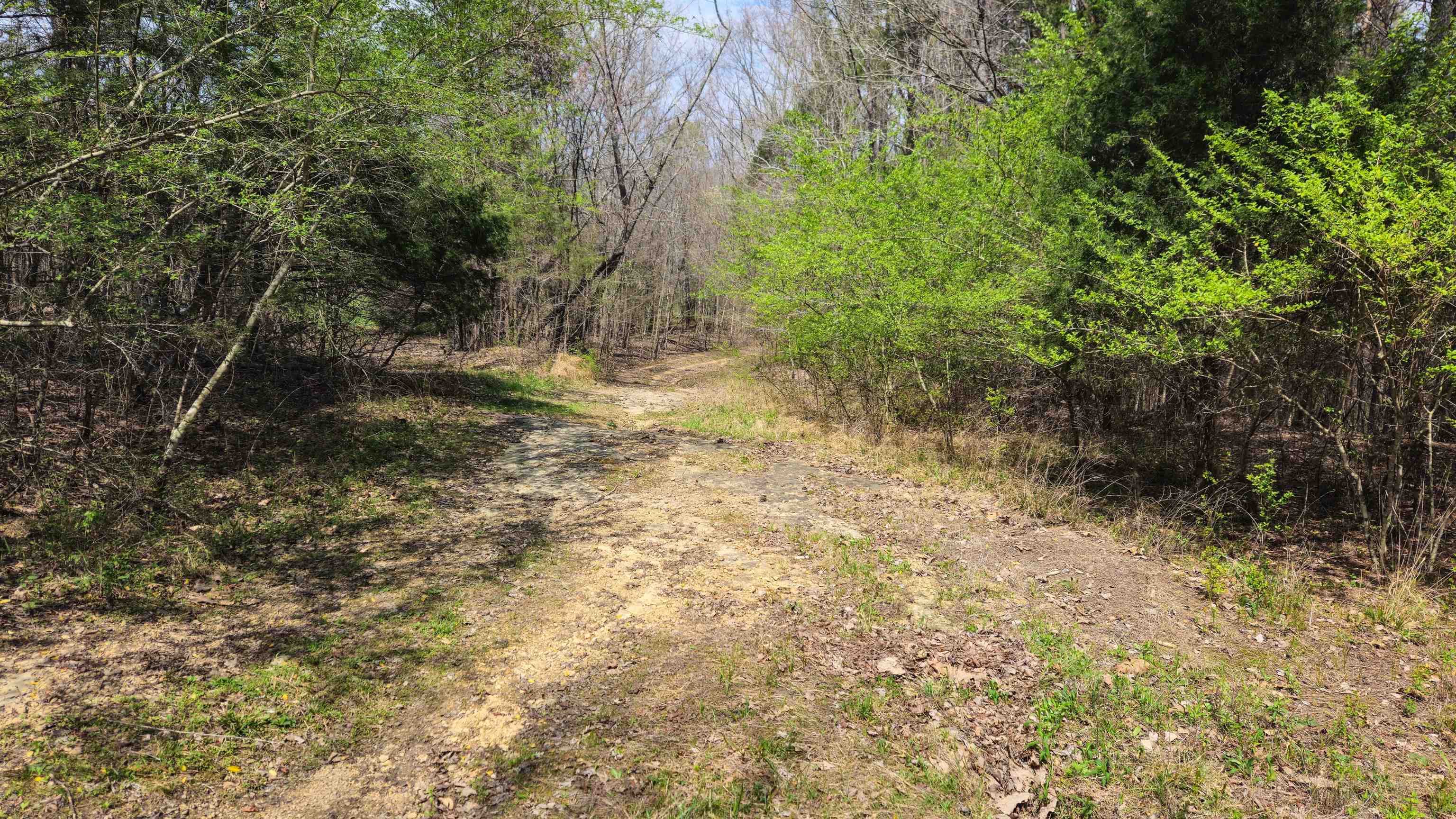 0 Co Rd 621, Lexington, AL 35648 — photo 3