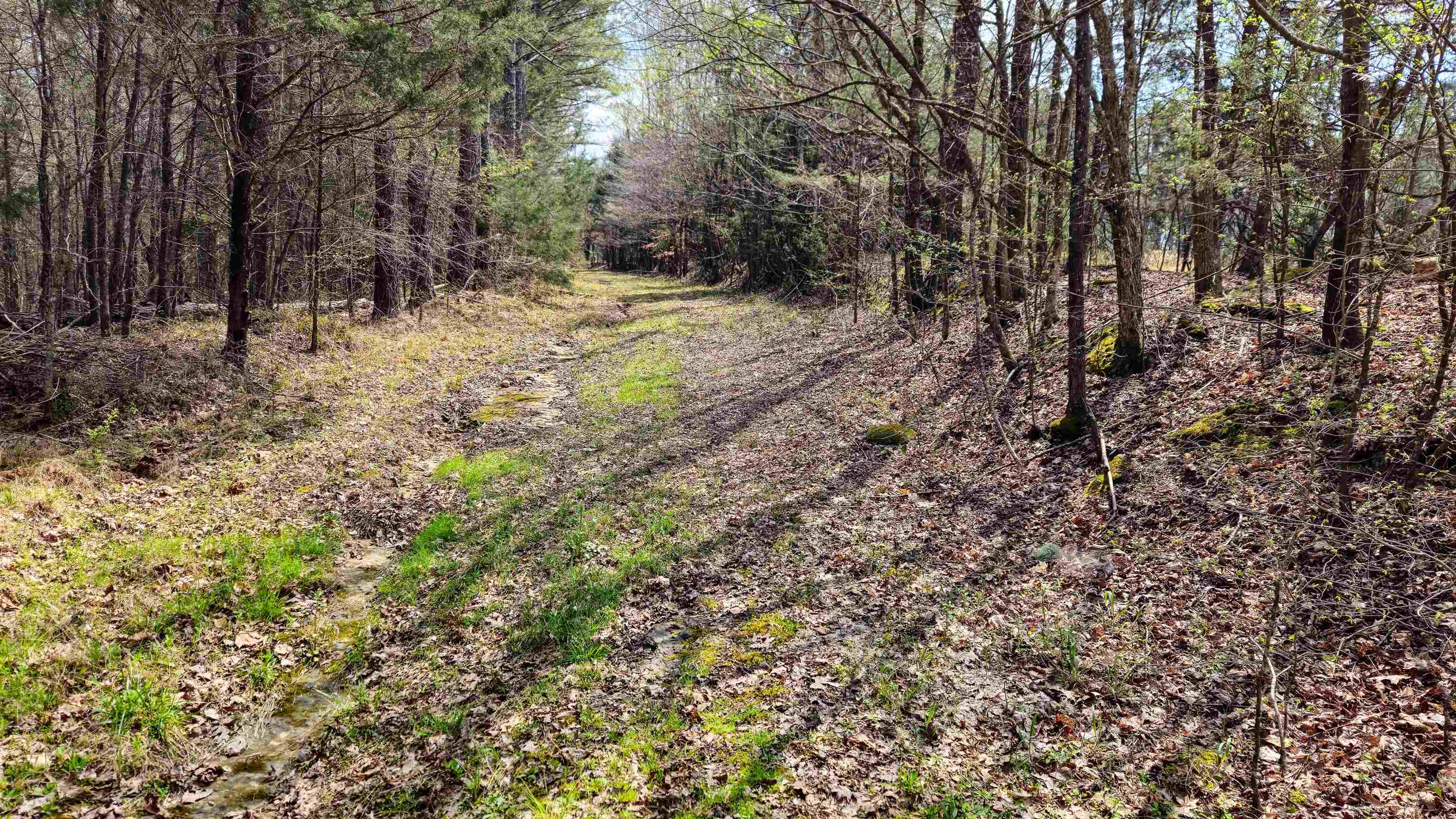 0 Co Rd 621, Lexington, AL 35648 — photo 4
