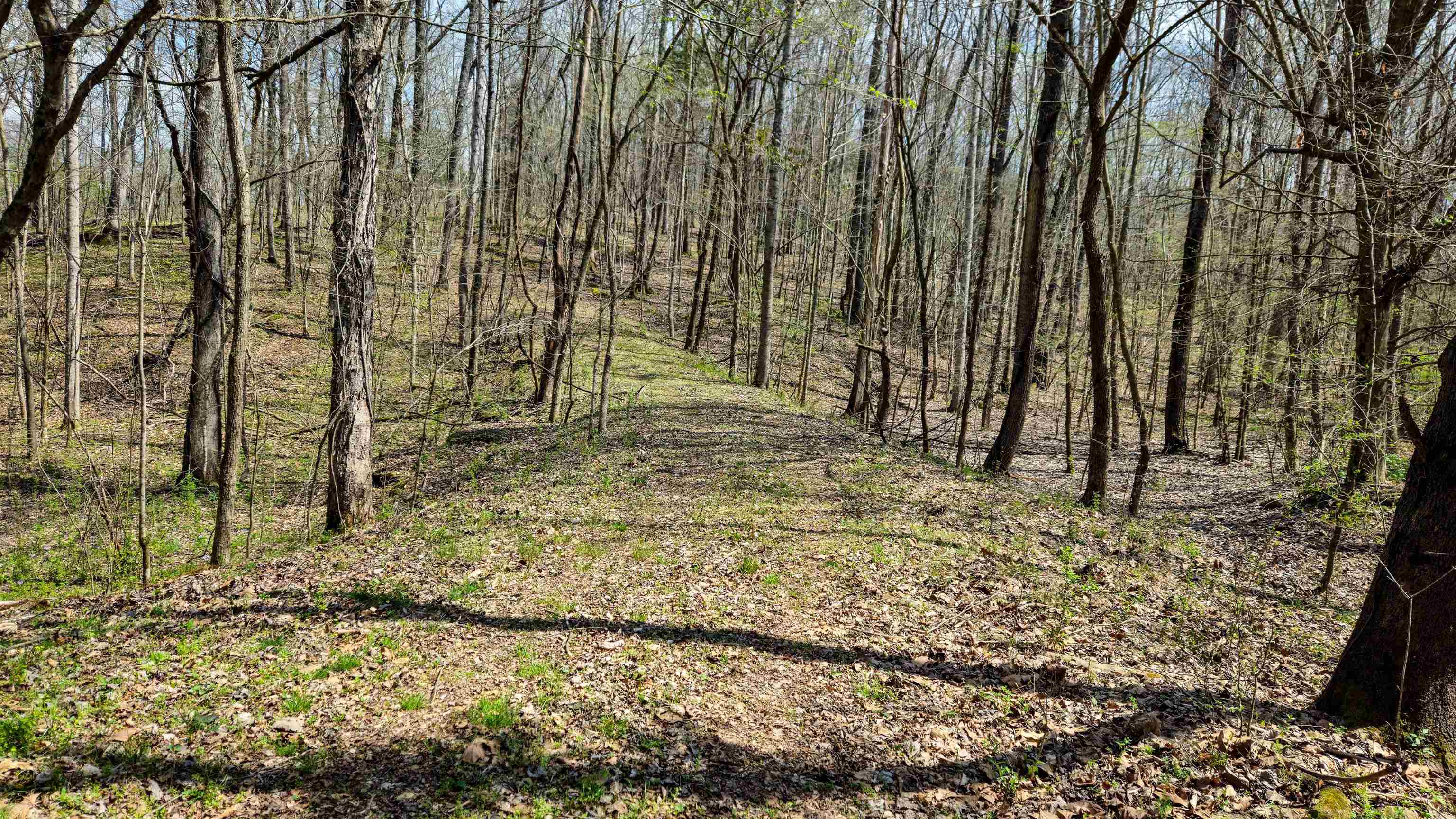 0 Co Rd 621, Lexington, AL 35648 — photo 6