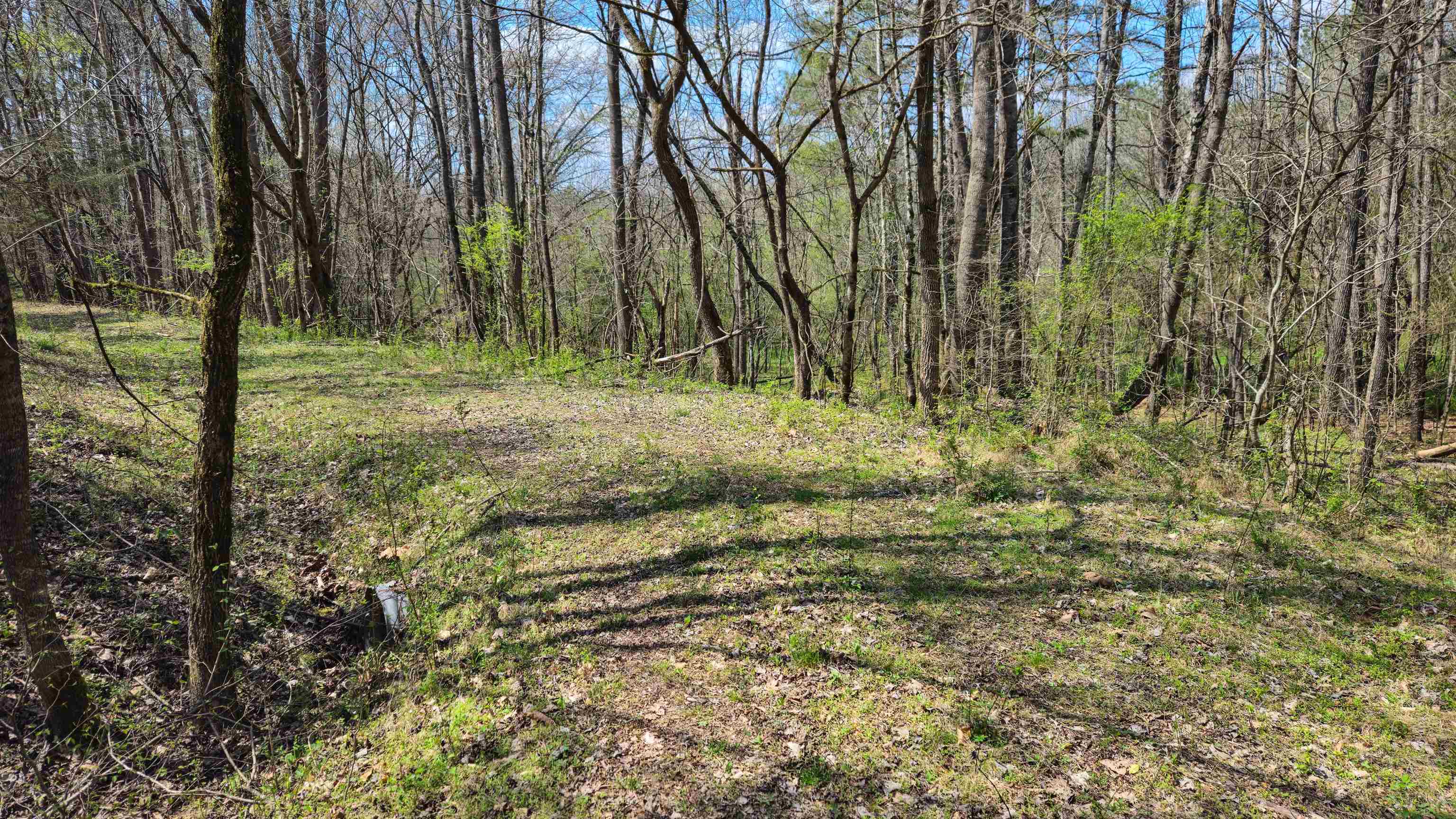 0 Co Rd 621, Lexington, AL 35648 — photo 7