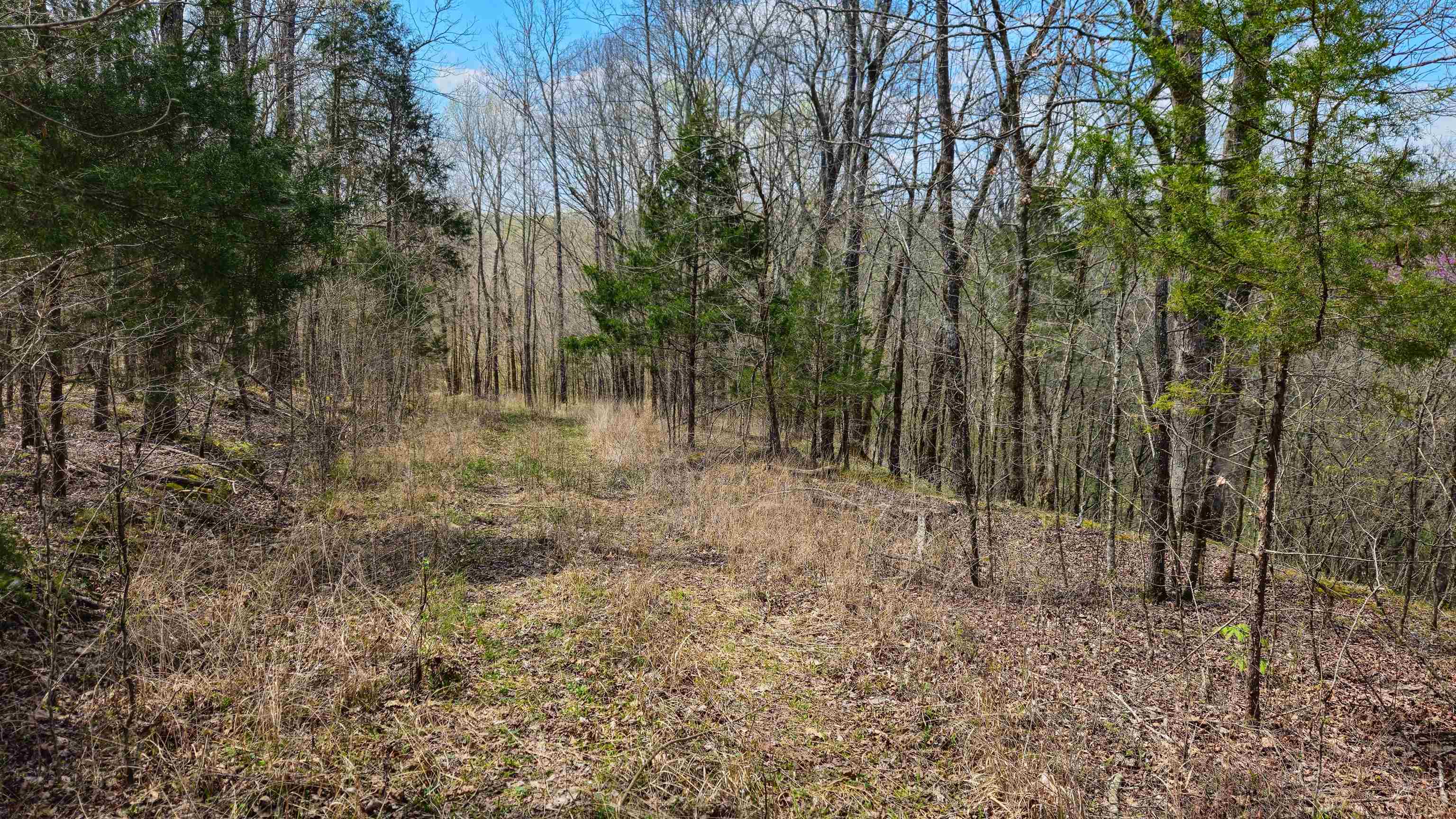 0 Co Rd 621, Lexington, AL 35648 — photo 8