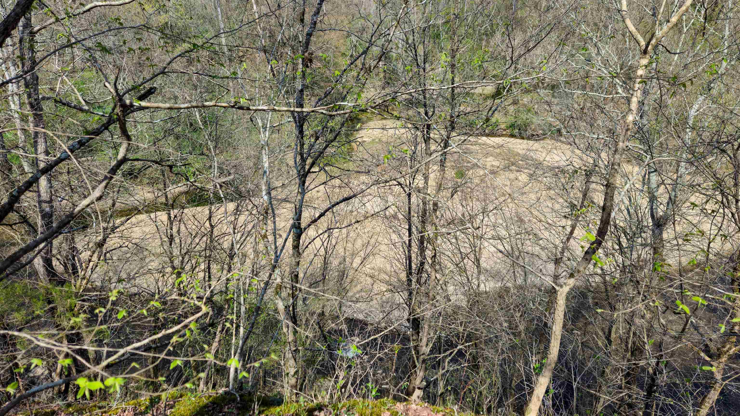 0 Co Rd 621, Lexington, AL 35648 — photo 9