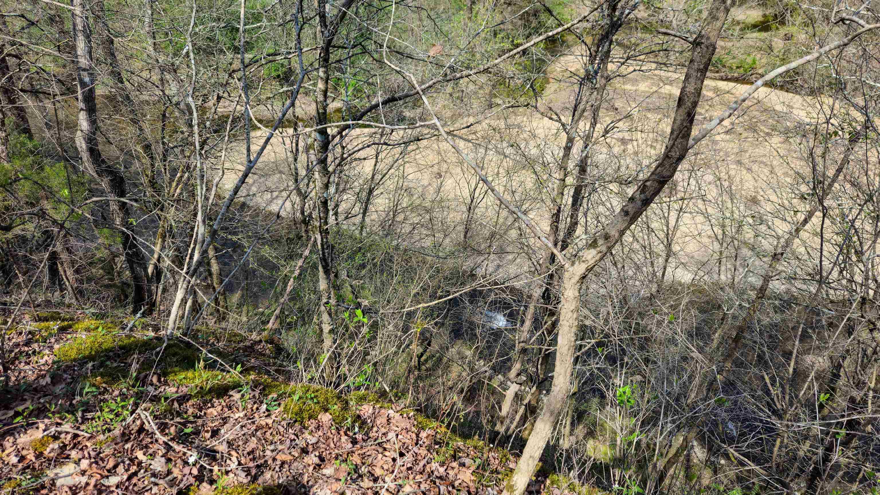 0 Co Rd 621, Lexington, AL 35648 — photo 10