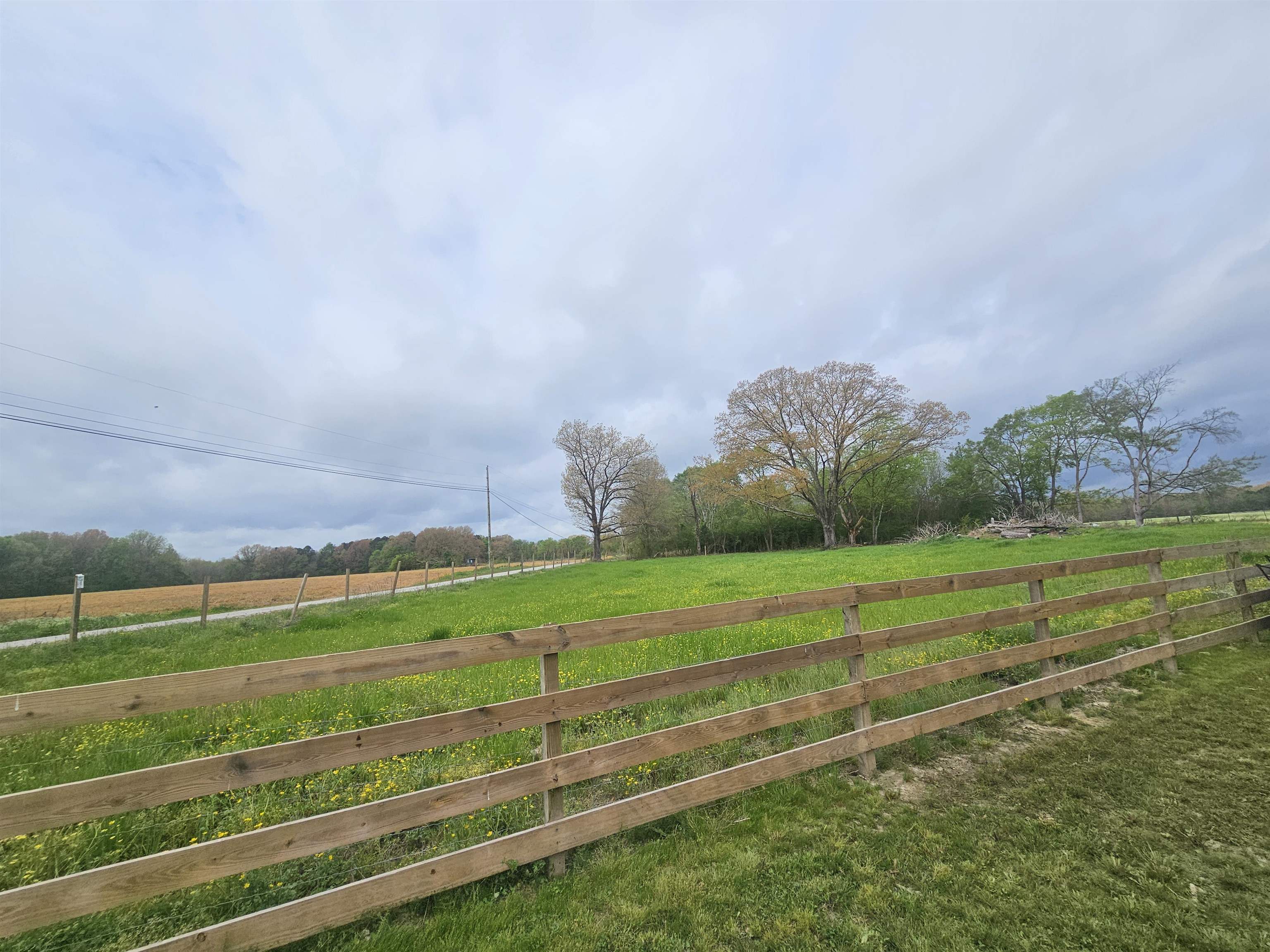 251 Clement Rd, Russellville, AL 35654 — photo 8