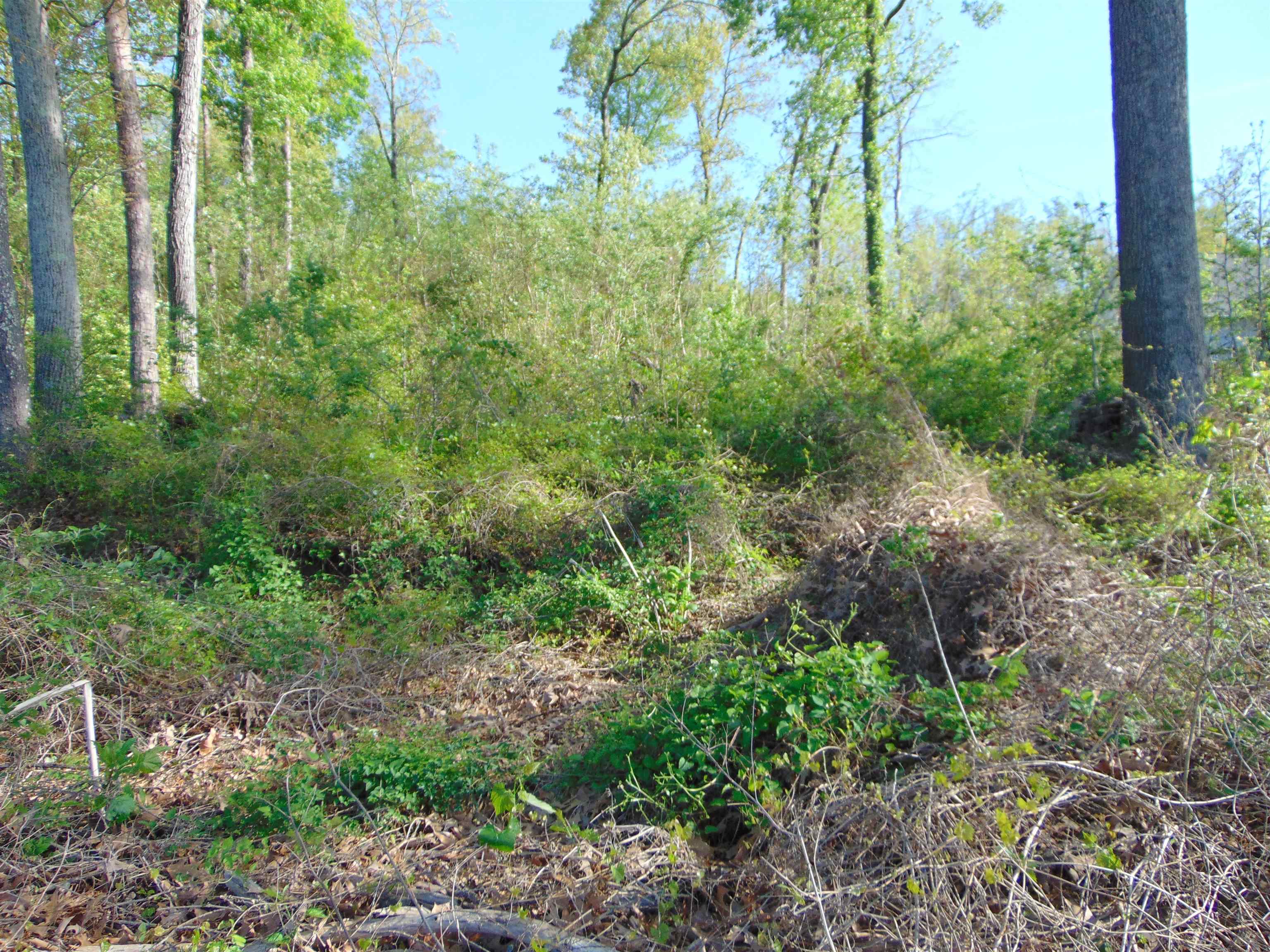 LOT 70 Wellington Rdg, Cherokee, AL 35616 — photo 12