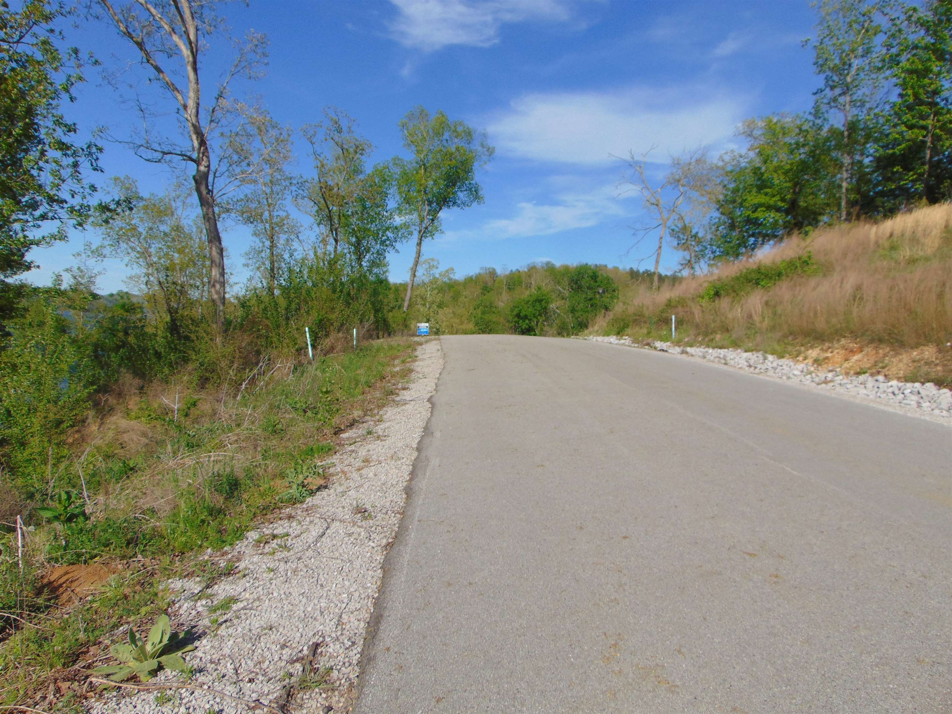 LOT 70 Wellington Rdg, Cherokee, AL 35616 — photo 5