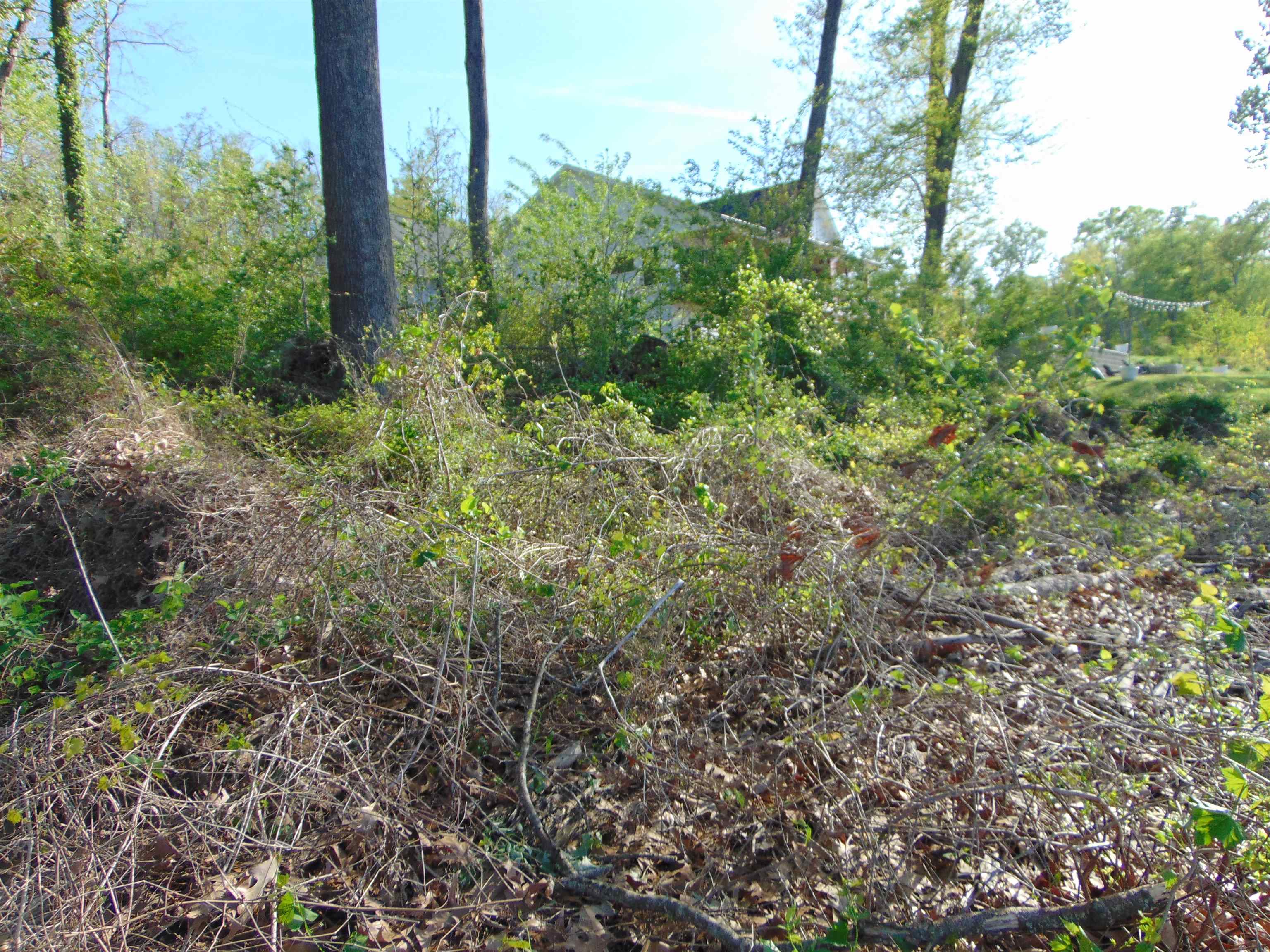 LOT 70 Wellington Rdg, Cherokee, AL 35616 — photo 7