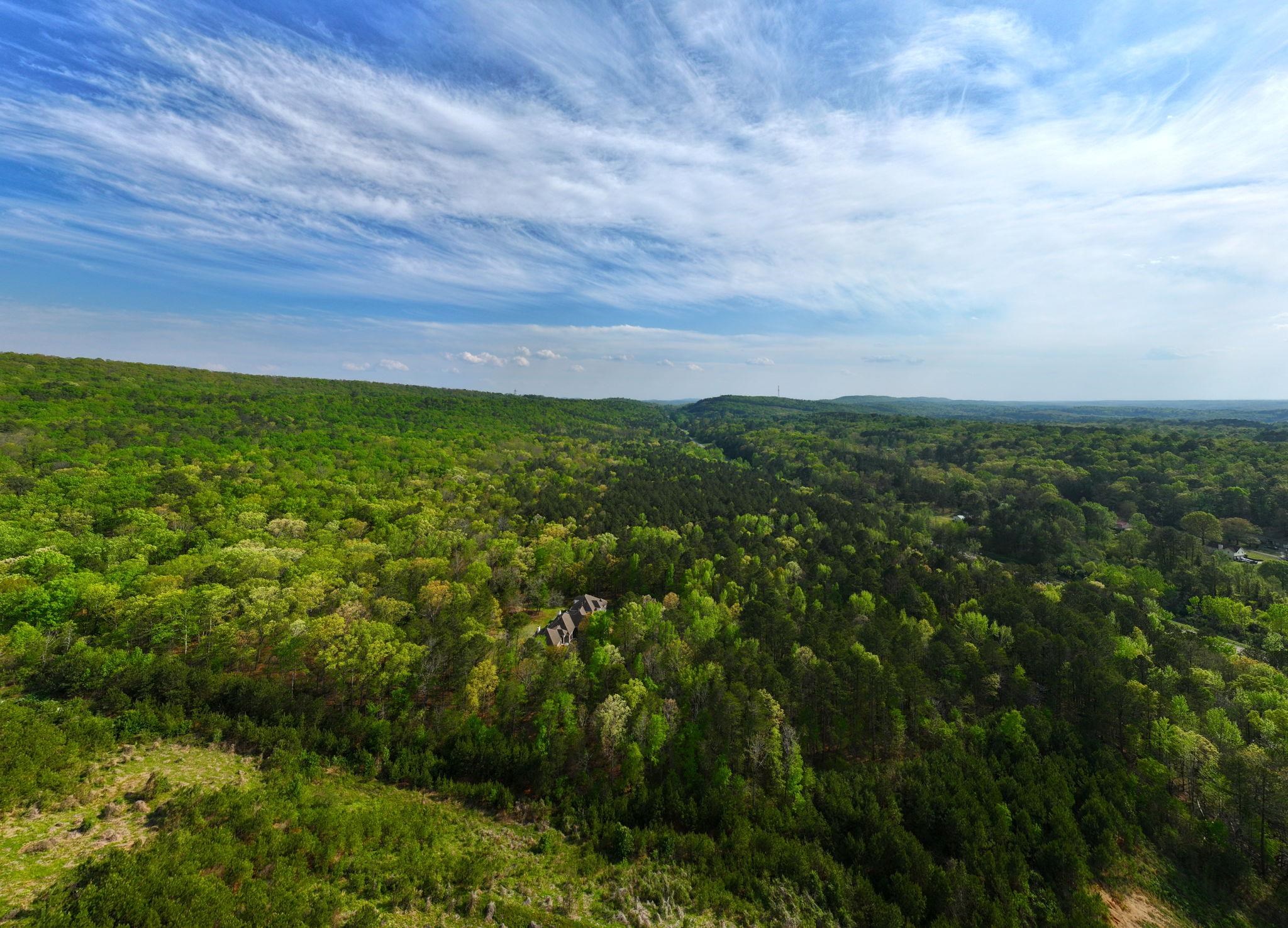 7867 Hwy 79, Pinson, AL 35126 — photo 11